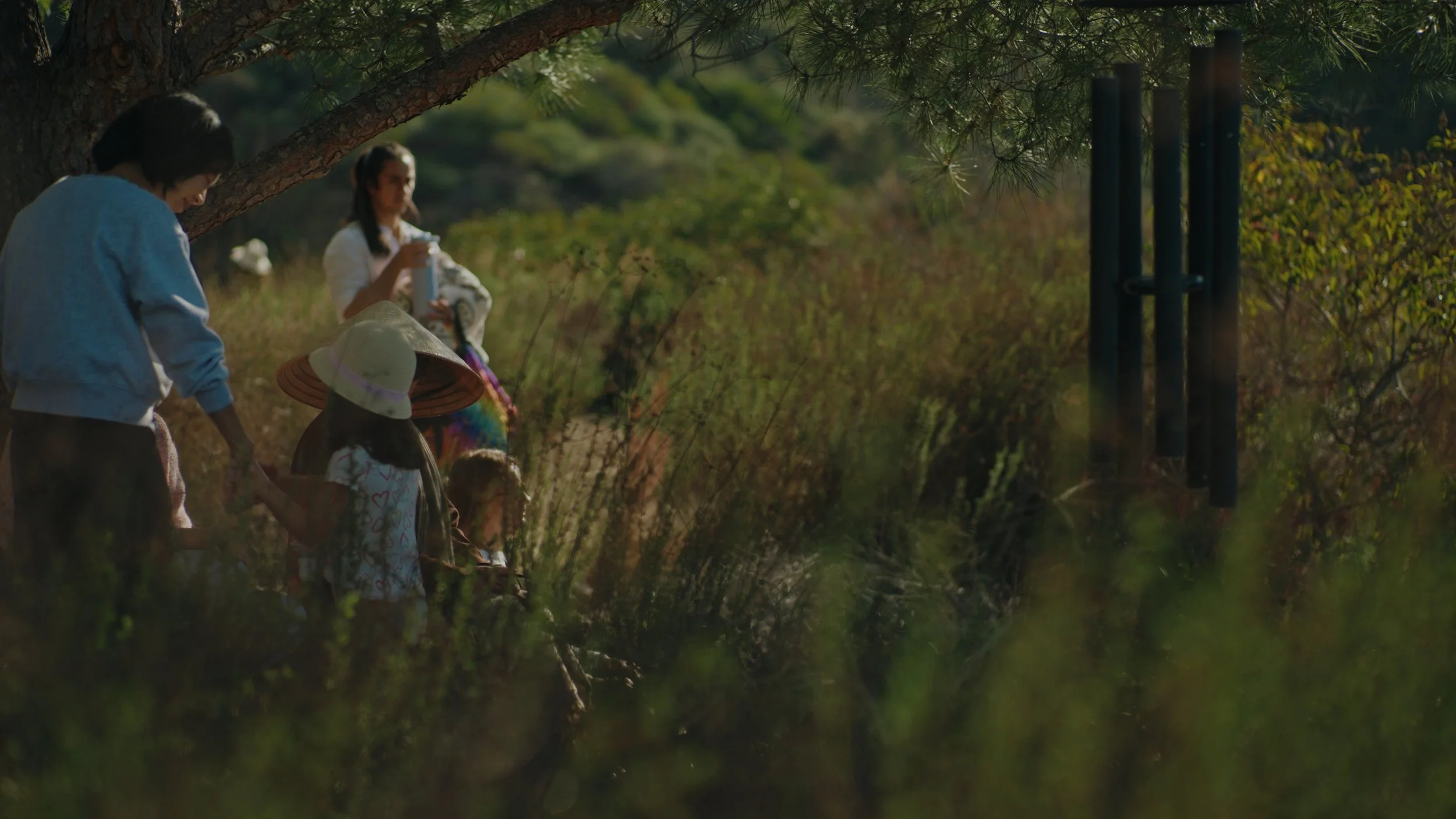 Still 2025-12-22 175847_1.72.1.jpg