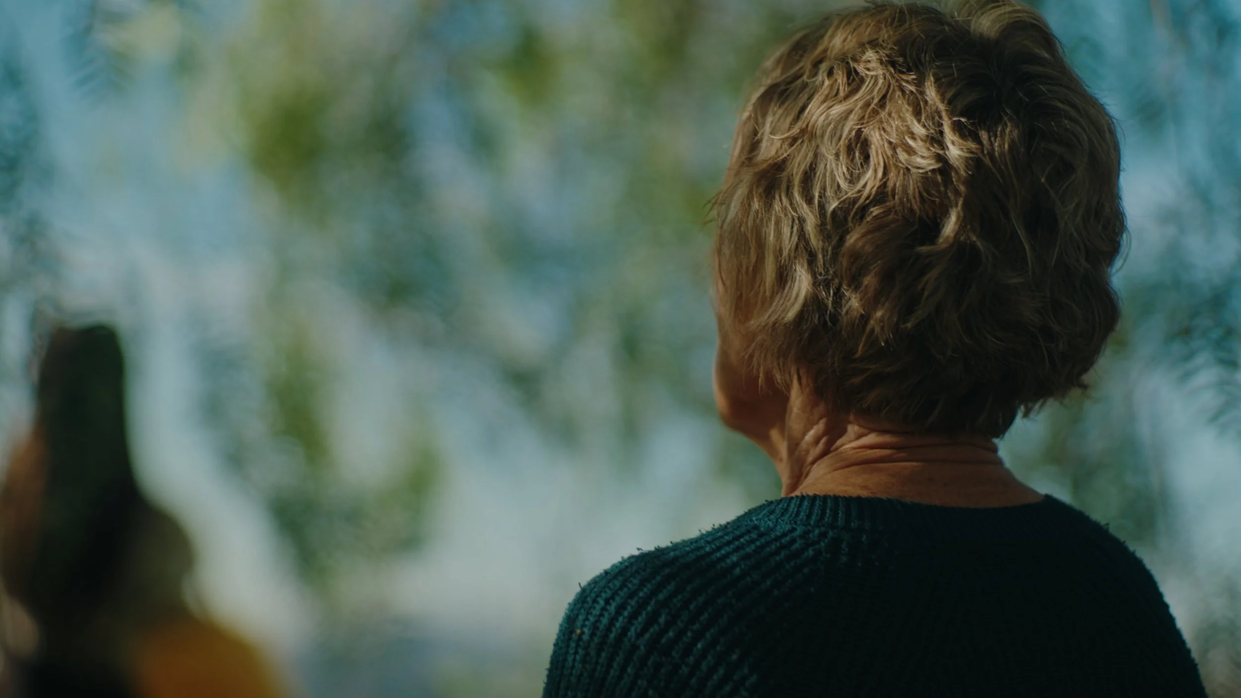 Still 2025-12-22 175847_1.77.1.jpg