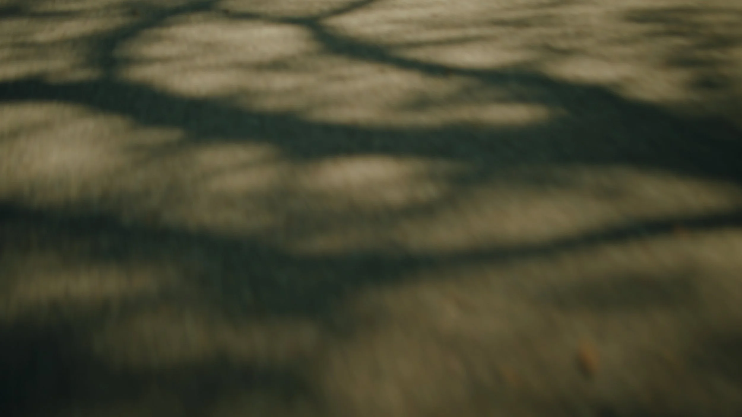 Still 2025-12-22 175847_1.101.1.jpg