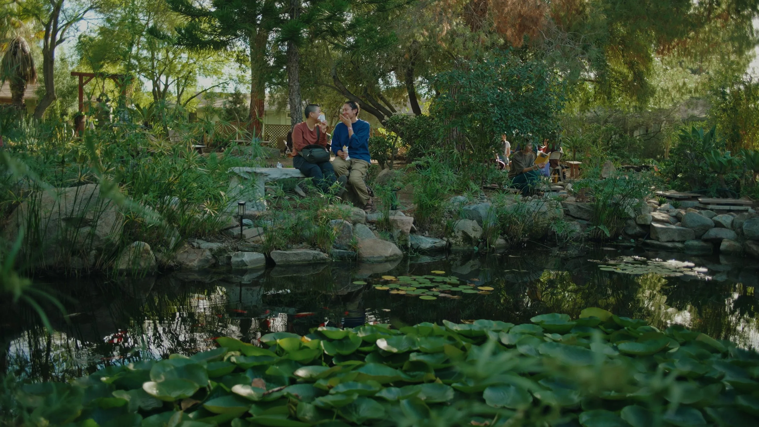 Still 2025-12-22 175847_1.204.1.jpg