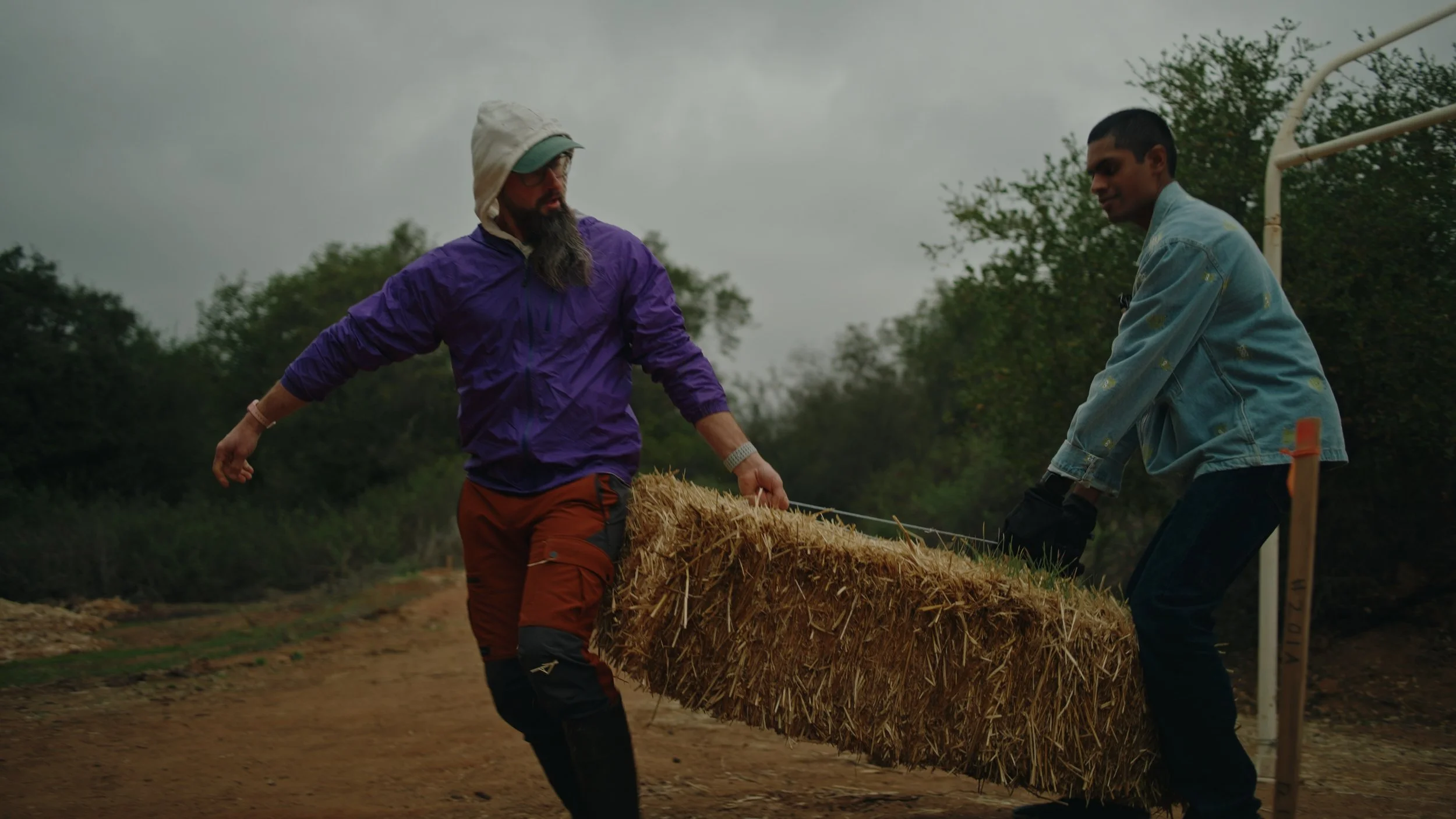 Still 2025-12-23 115336_1.253.1.jpg