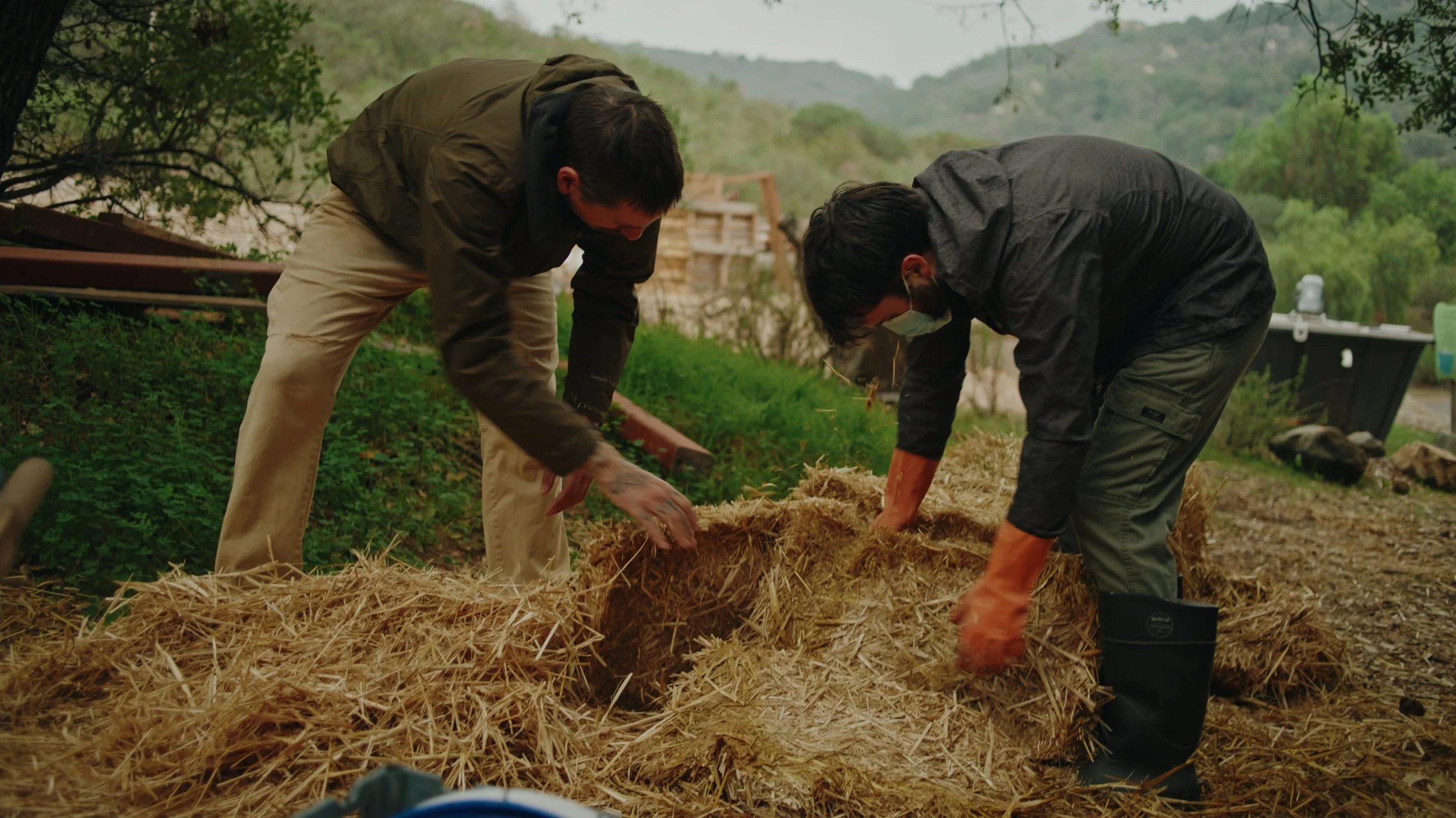 Still 2025-12-23 115336_1.279.1.jpg