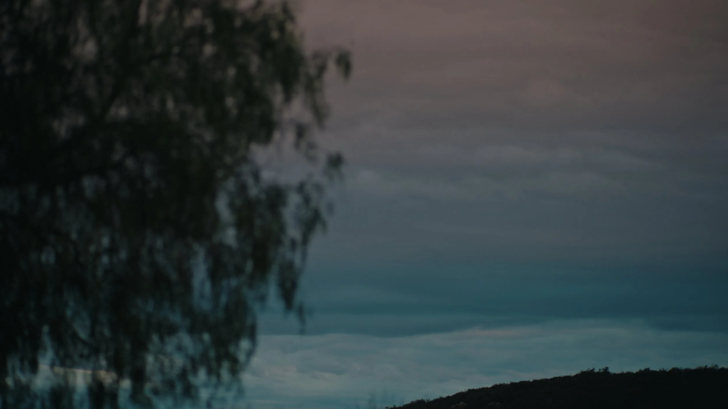 Still 2025-12-23 173218_1.322.1.jpg