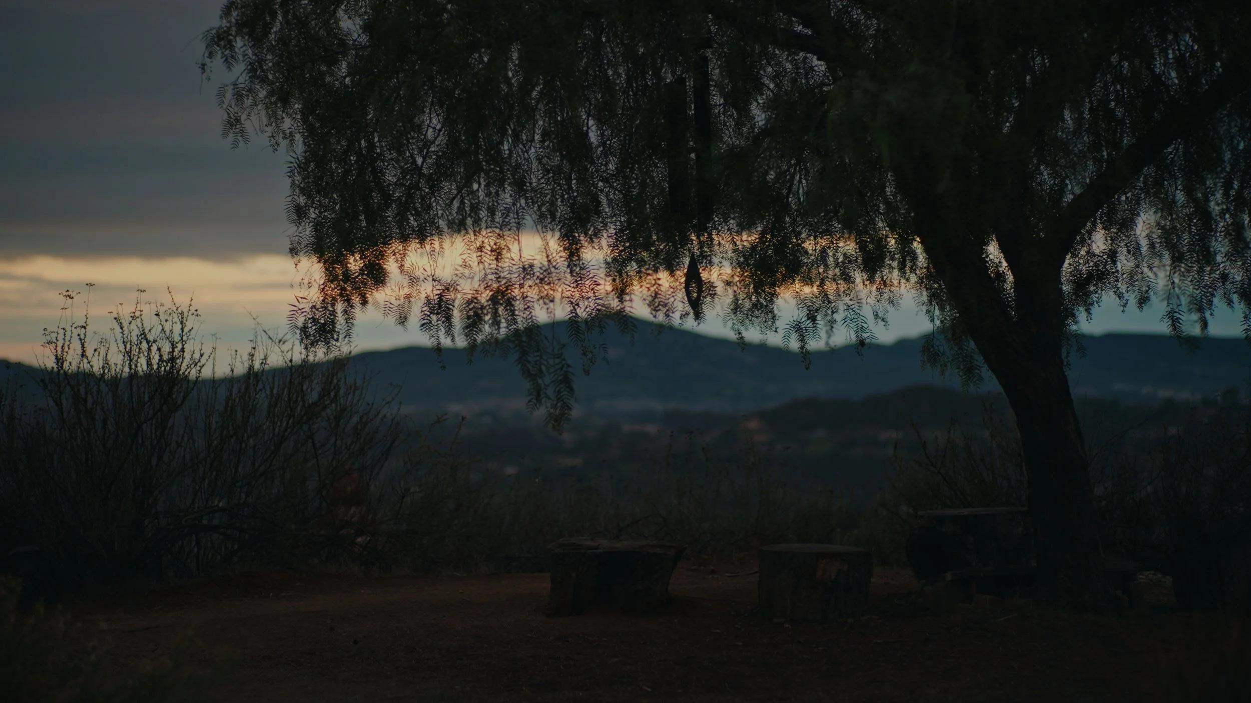 Still 2025-12-23 173218_1.321.1.jpg