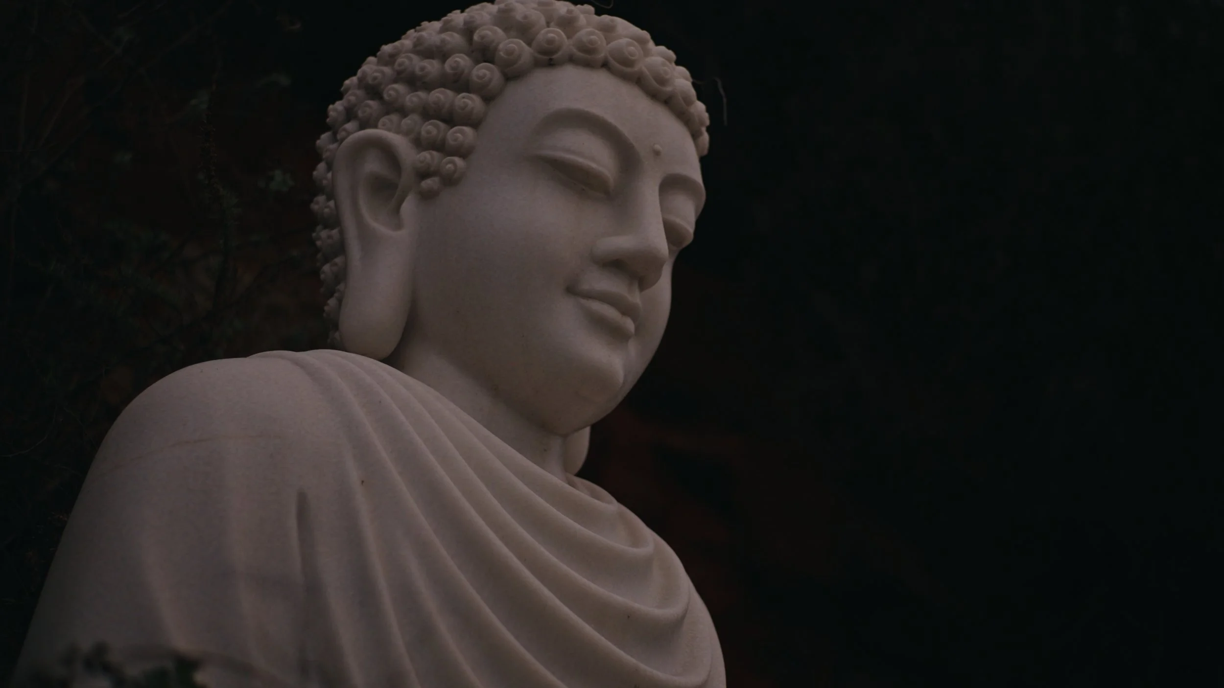 Still 2025-12-23 173218_1.323.1.jpg