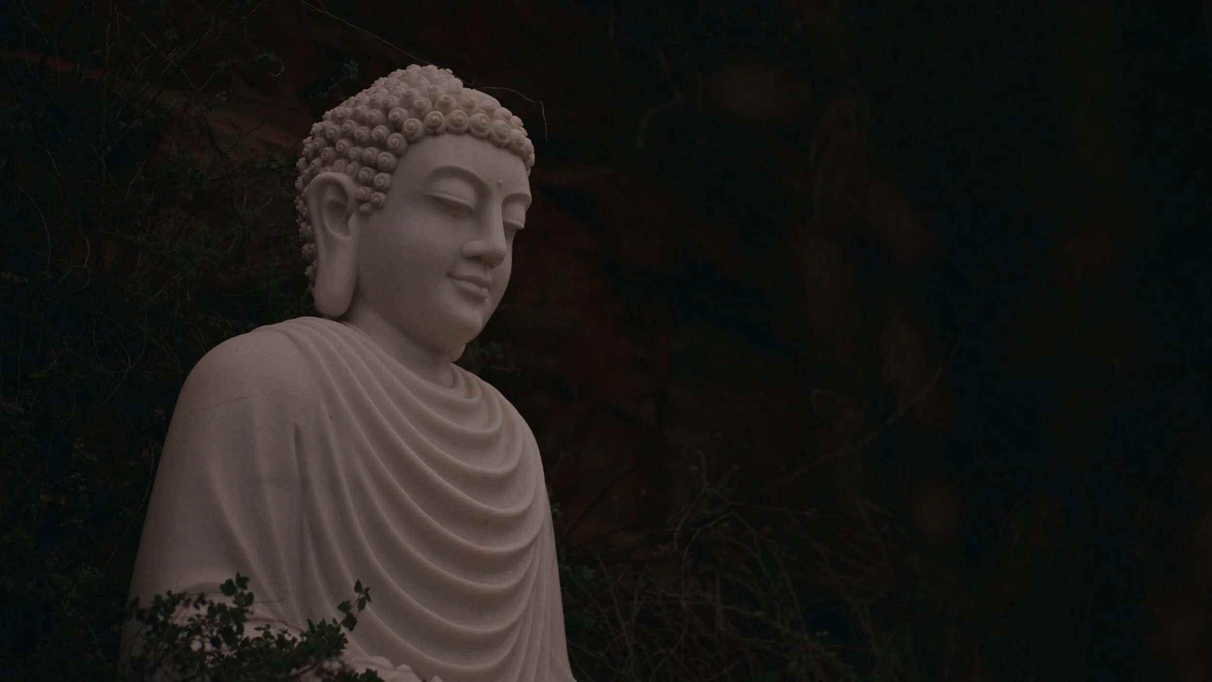 Still 2025-12-23 173218_1.324.1.jpg