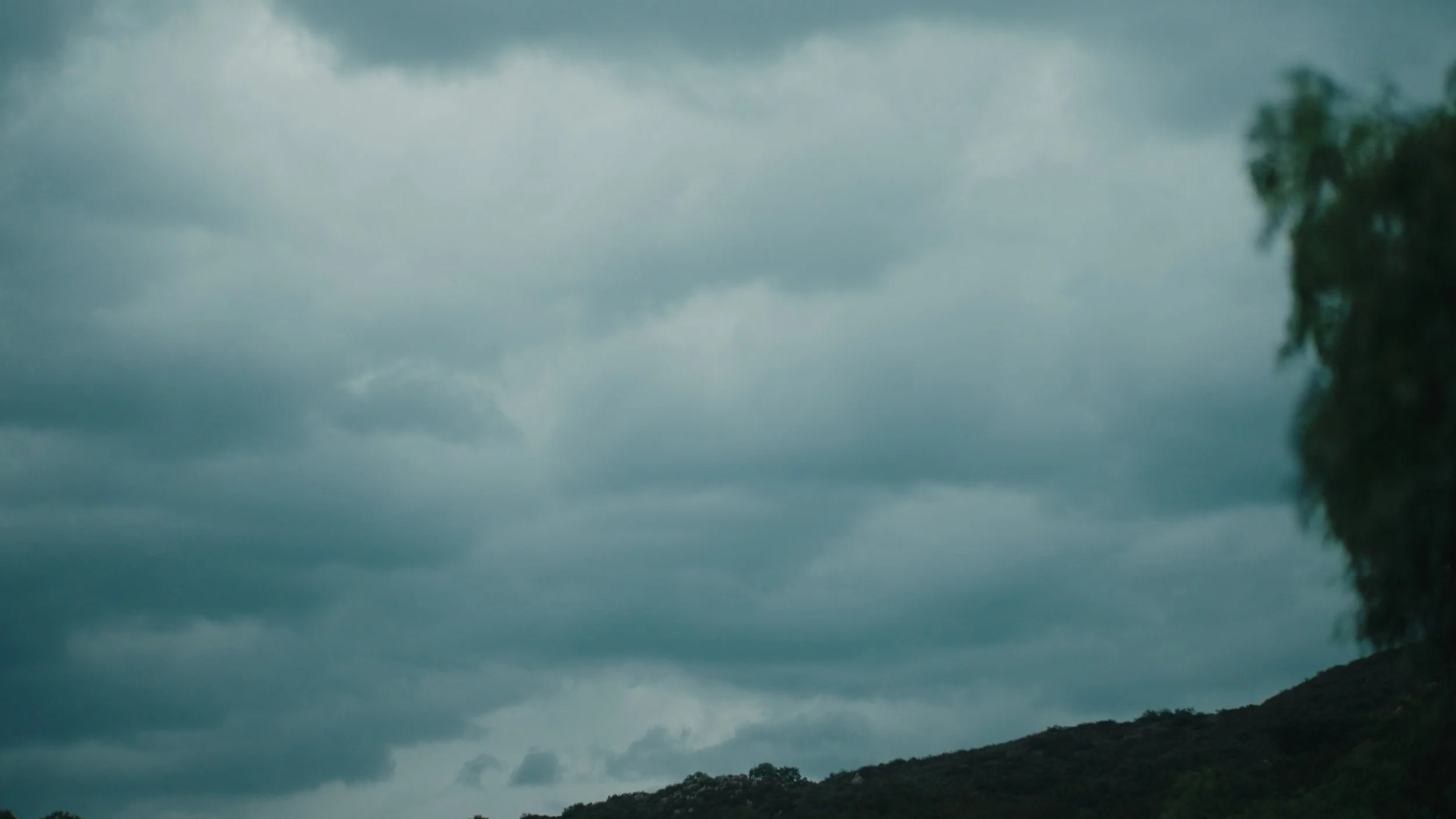 Still 2025-12-24 144912_1.355.1.jpg