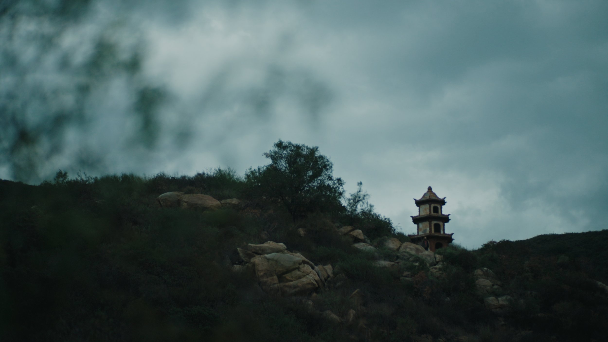 Still 2025-12-24 144912_1.356.1.jpg