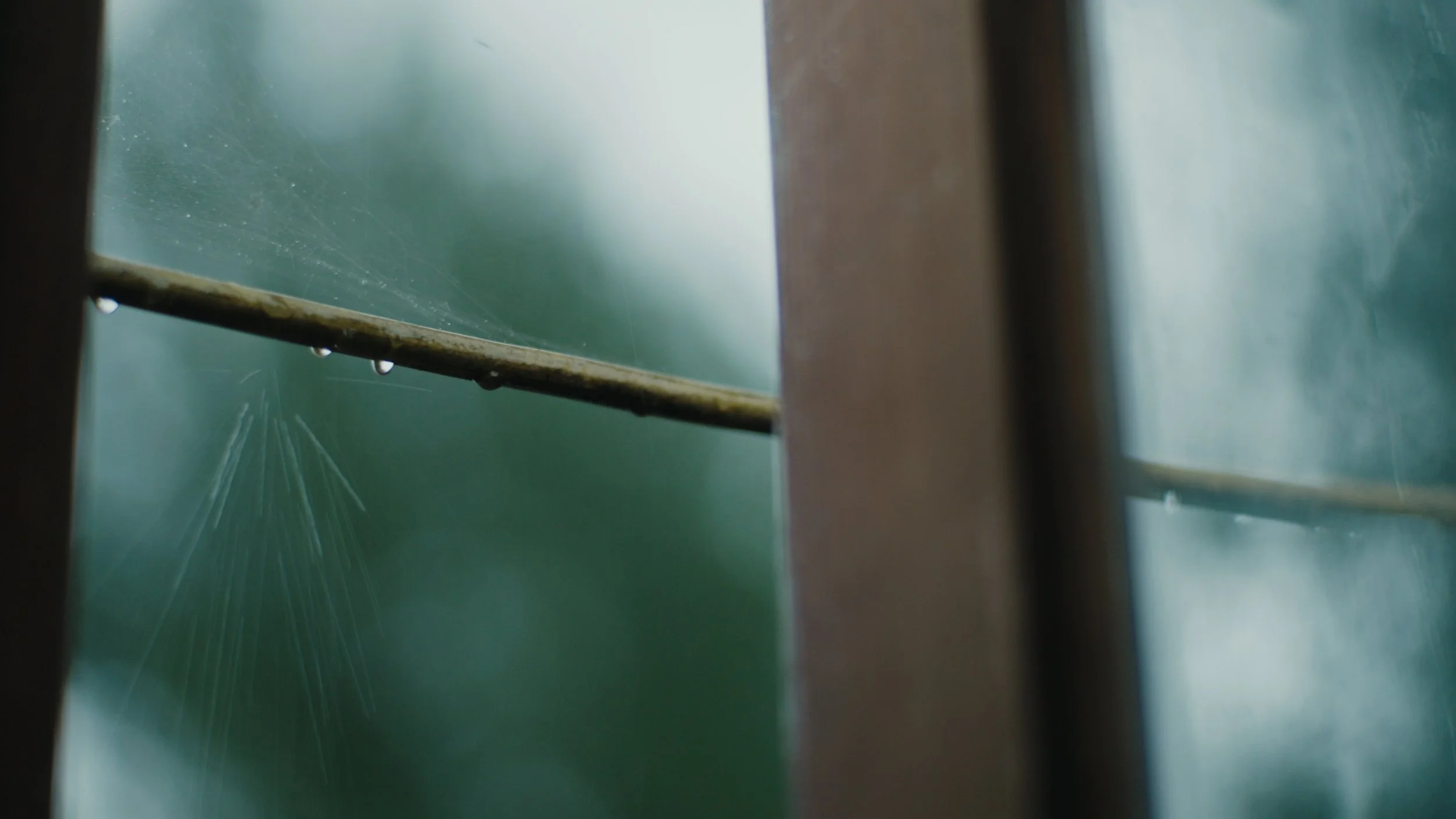 Still 2025-12-24 144912_1.361.1.jpg