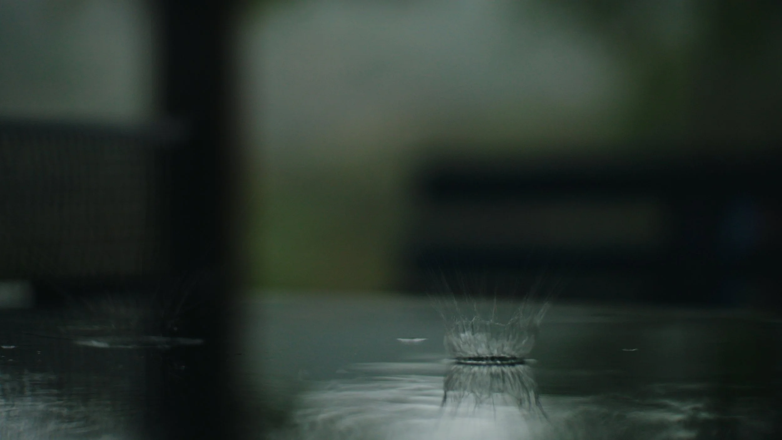 Still 2025-12-24 144912_1.374.1.jpg