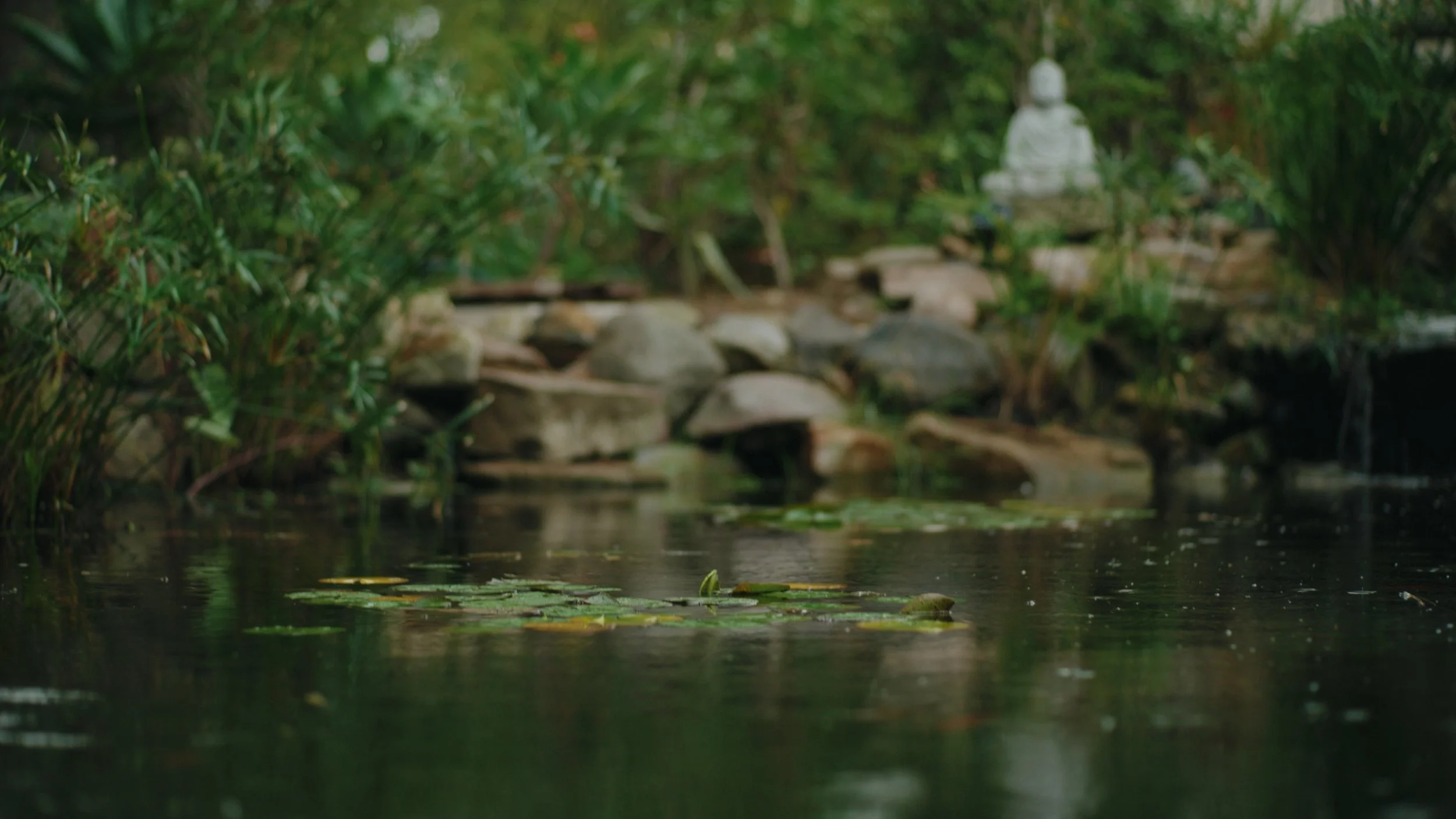 Still 2025-12-24 144912_1.379.1.jpg