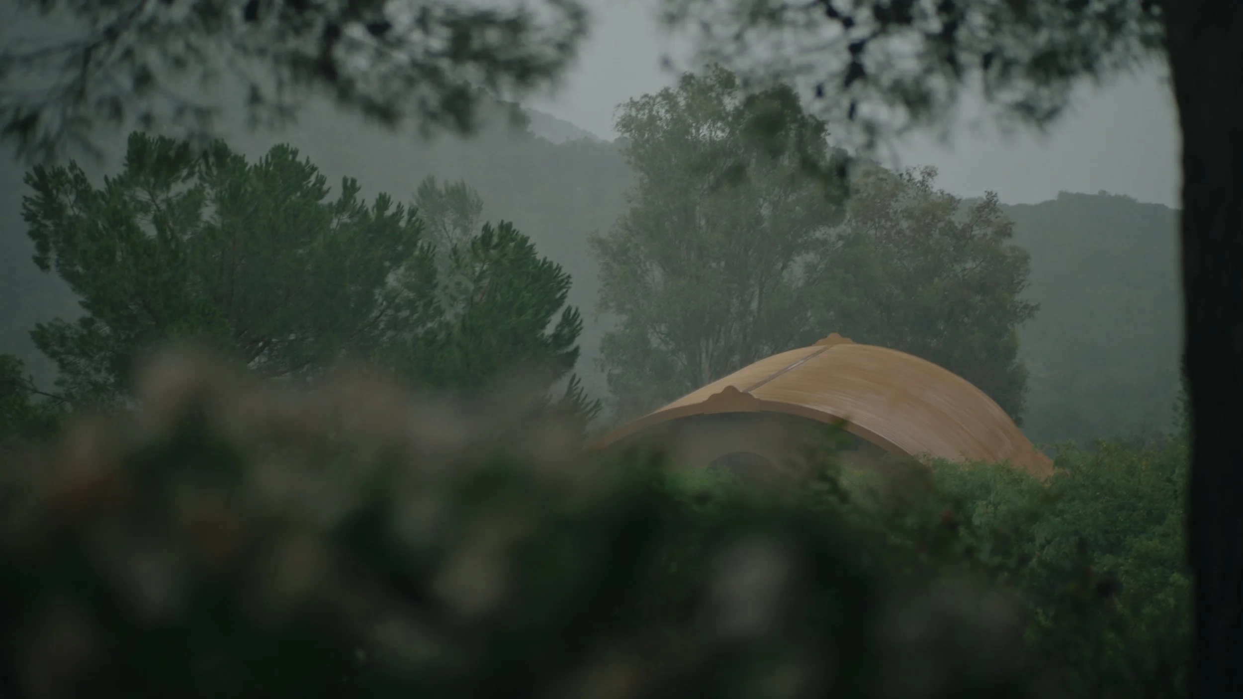 Still 2025-12-24 144912_1.388.1.jpg