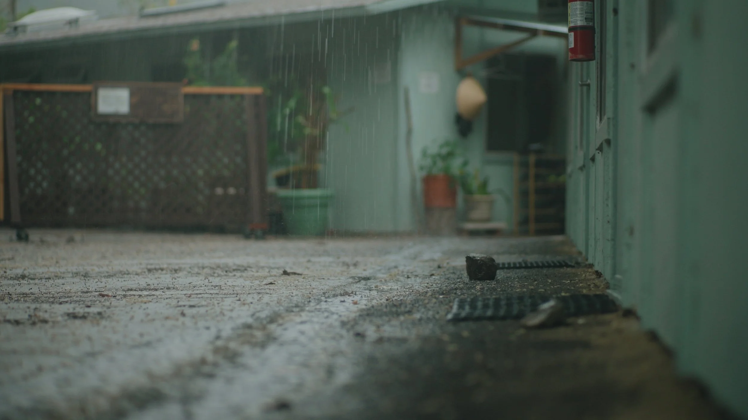 Still 2025-12-24 144912_1.391.1.jpg