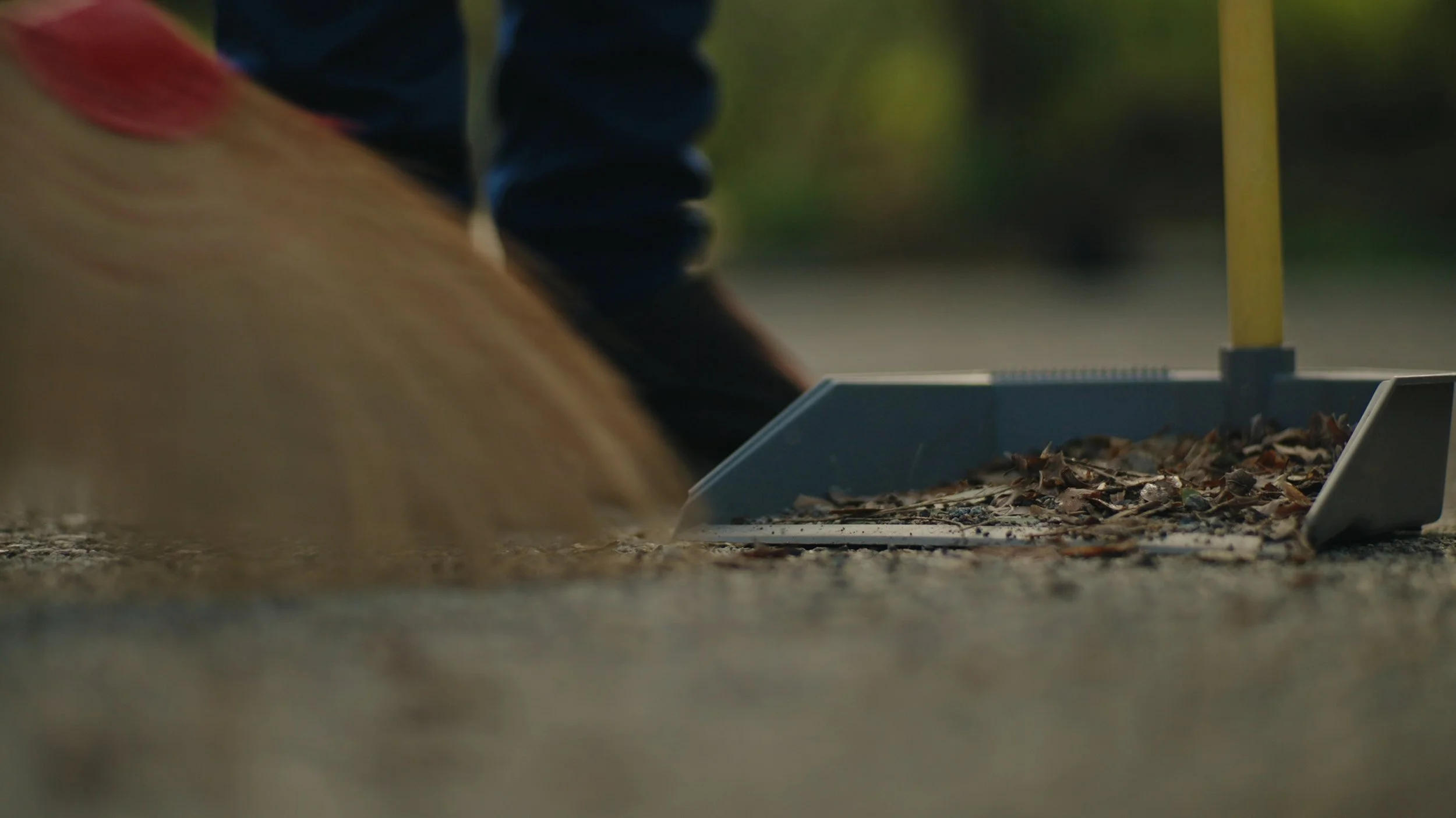 Still 2025-12-28 180610_1.435.1.jpg