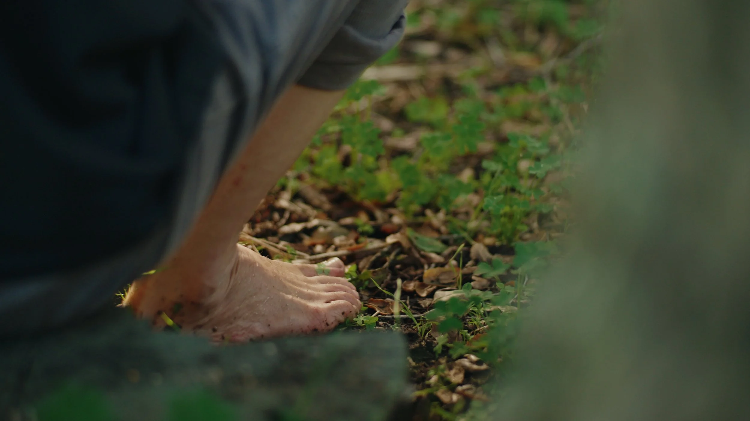 Still 2025-12-28 180610_1.462.1.jpg