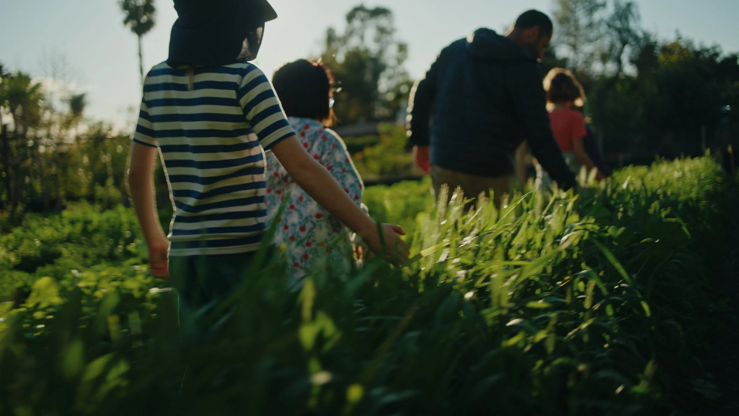 Still 2025-12-29 174556_1.496.1.jpg