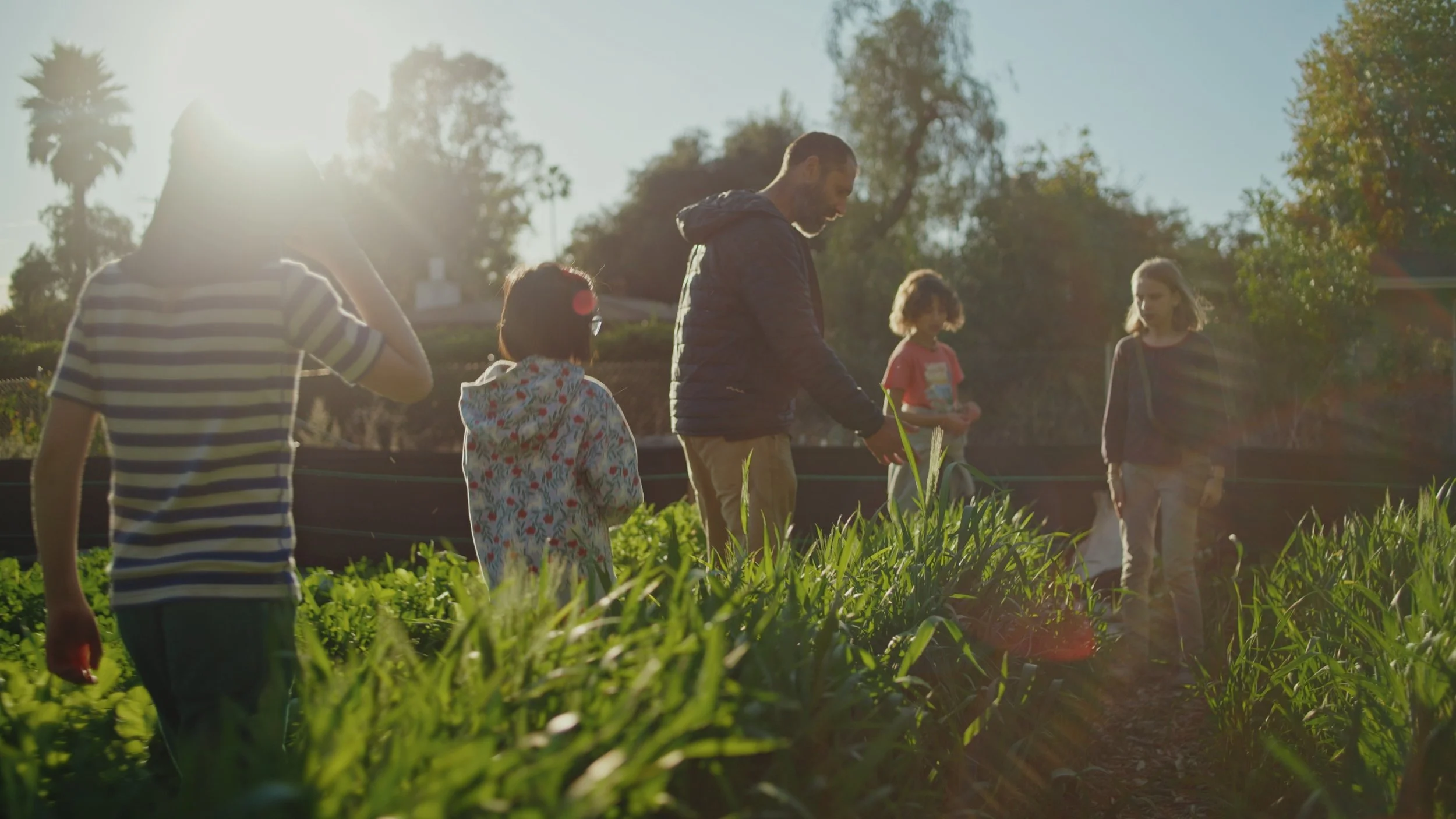 Still 2025-12-29 174556_1.496.2.jpg