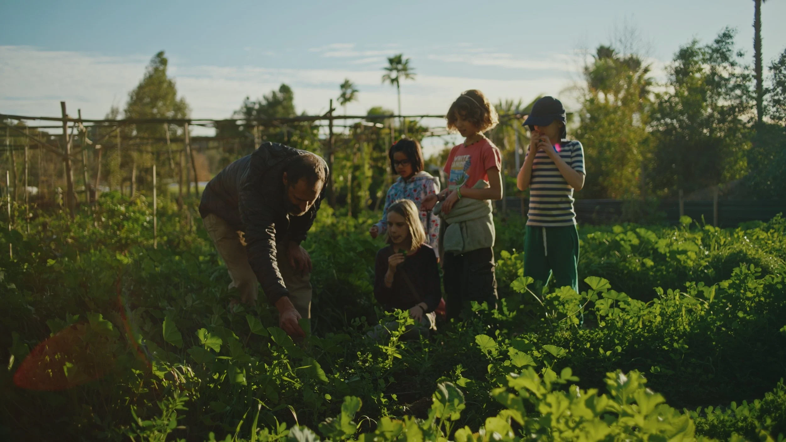 Still 2025-12-29 174556_1.497.1.jpg