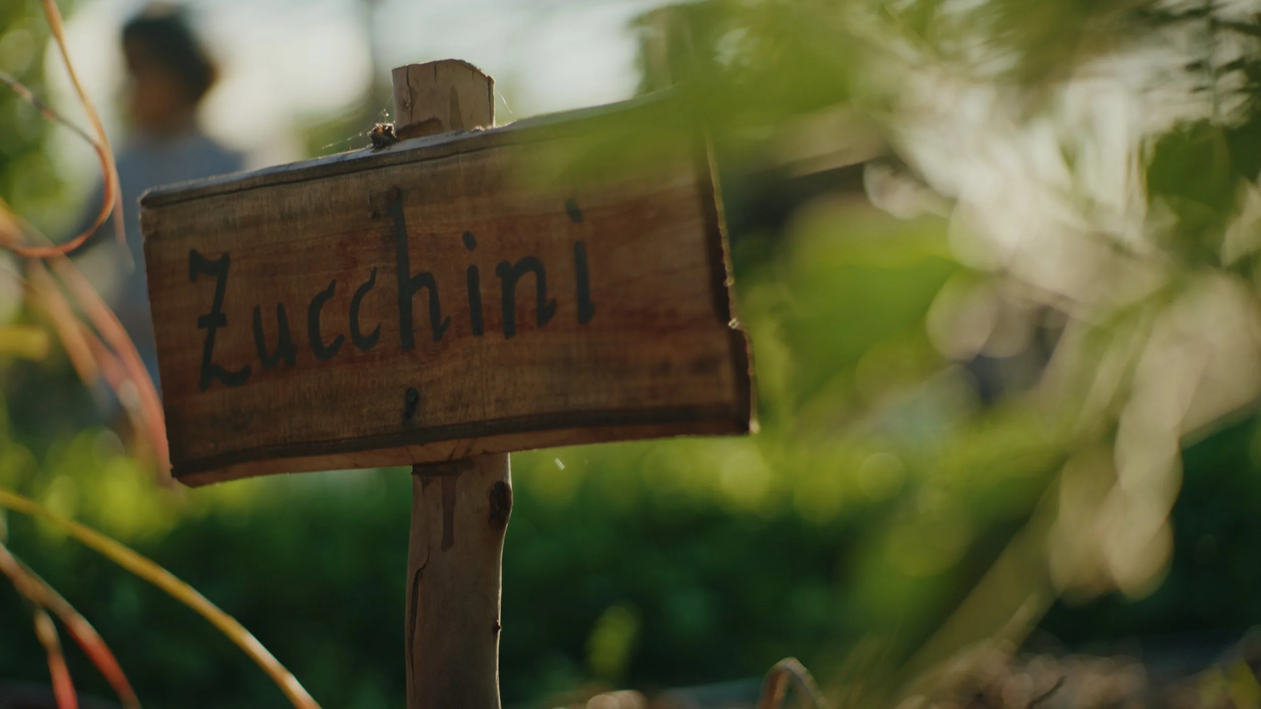 Still 2025-12-29 174556_1.505.1.jpg