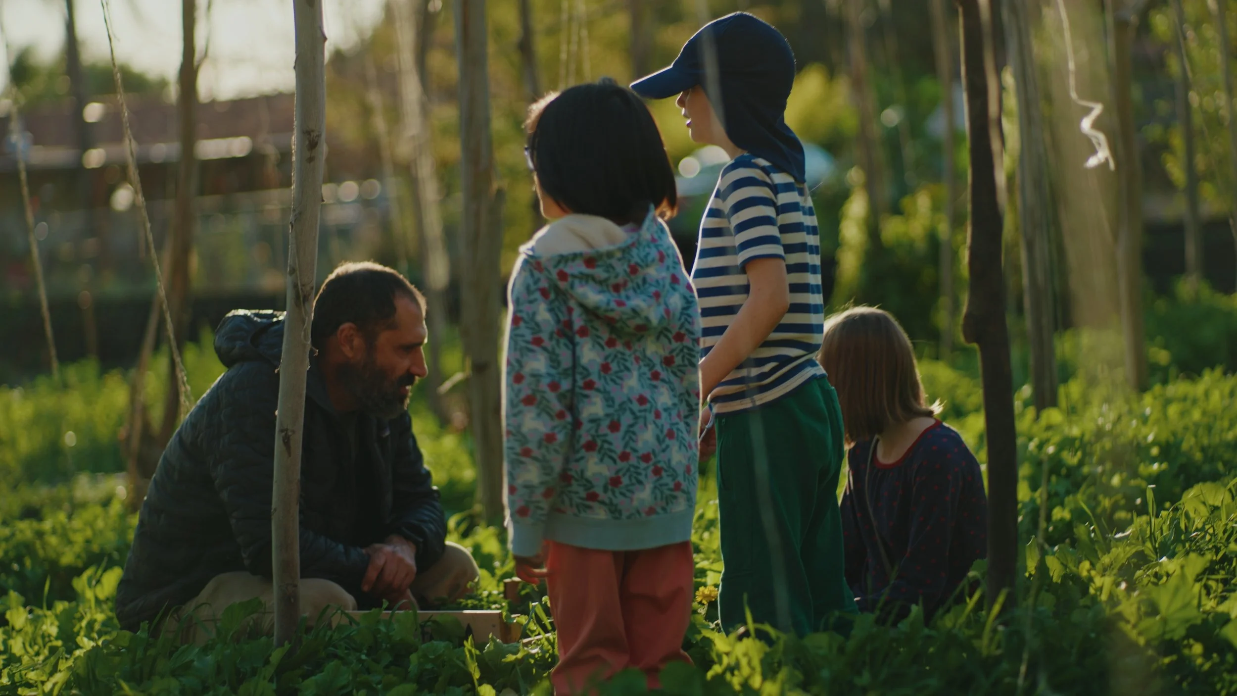 Still 2025-12-29 174556_1.506.1.jpg