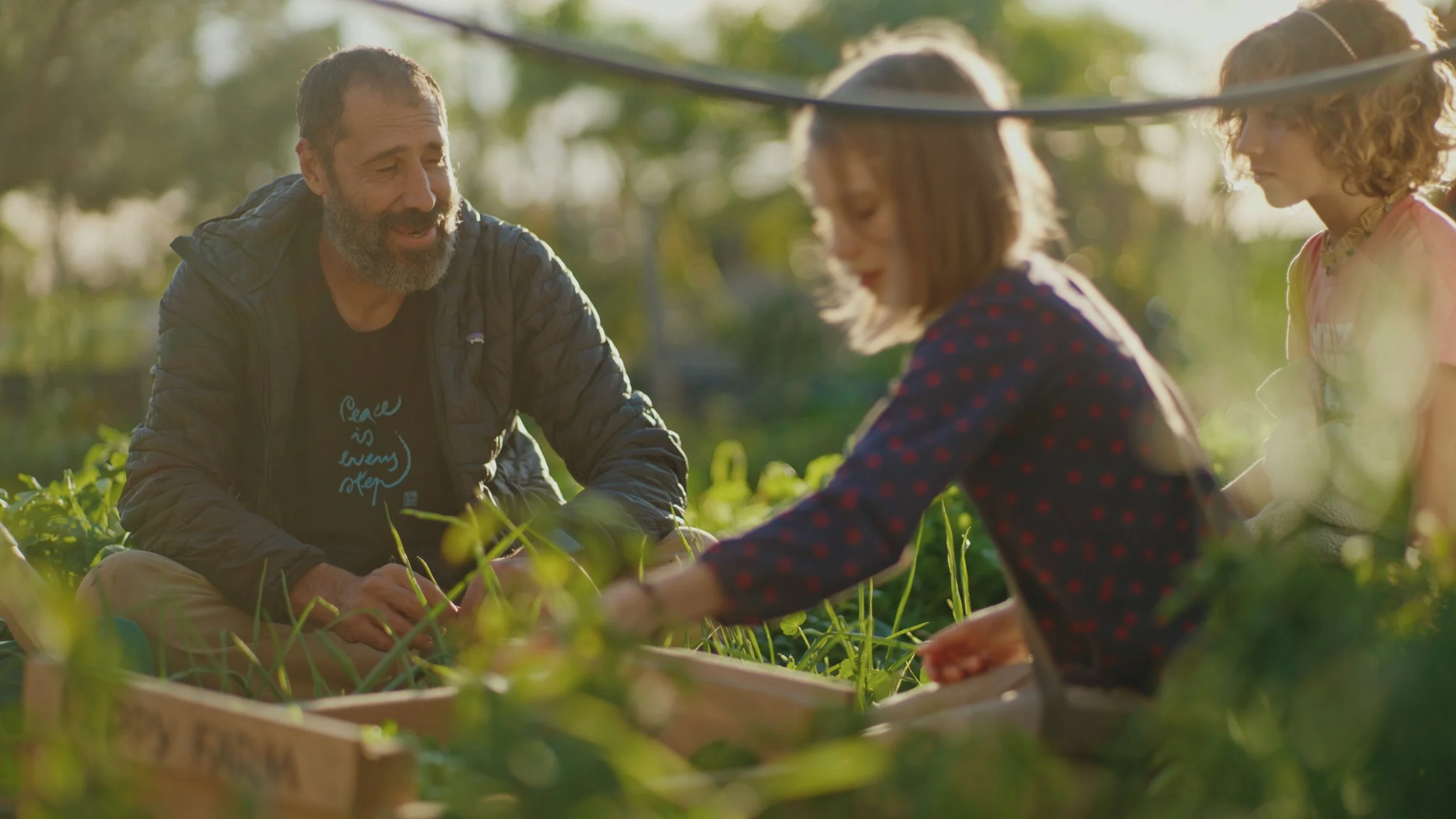 Still 2025-12-29 174556_1.518.1.jpg