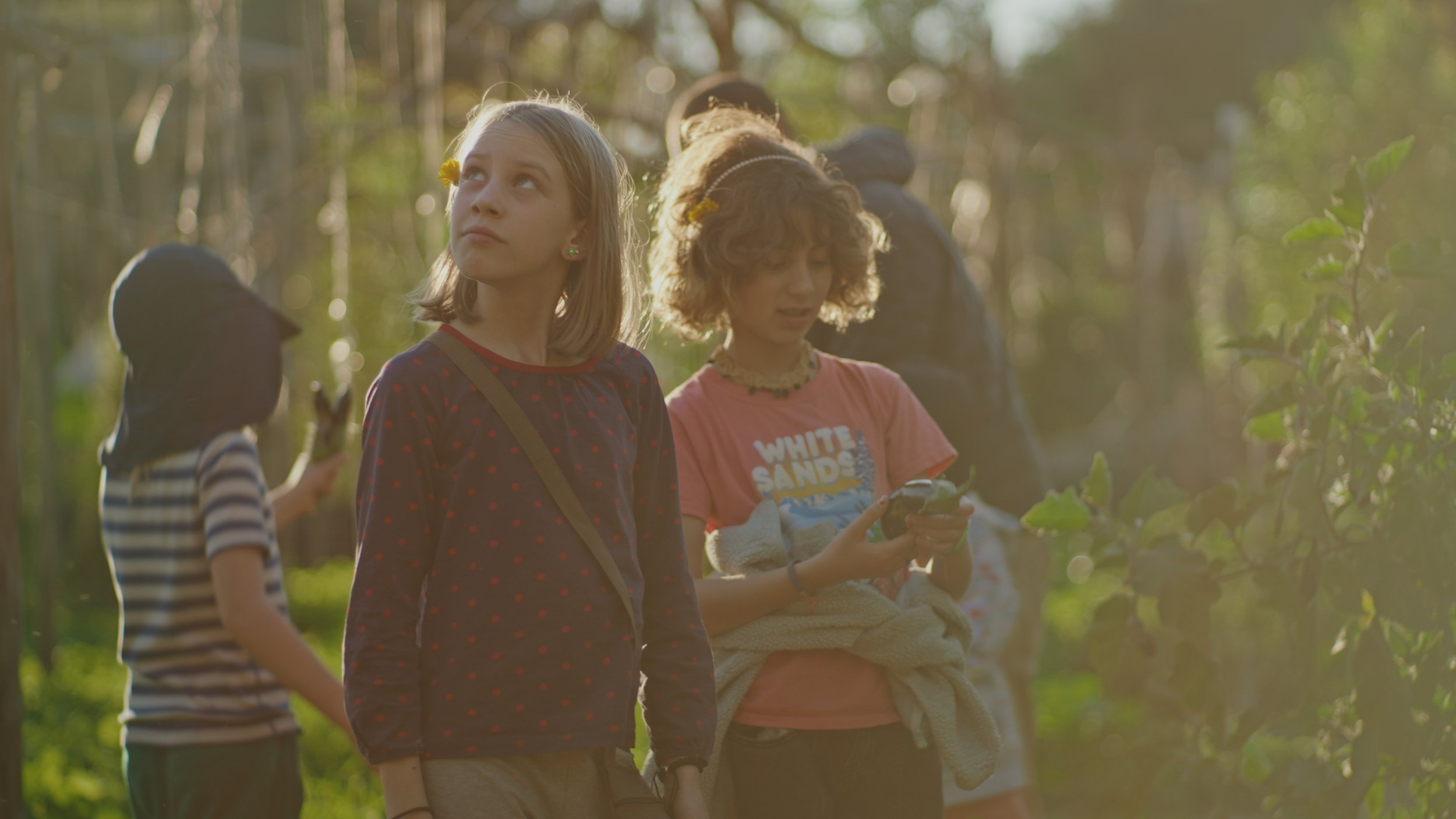 Still 2025-12-29 174556_1.512.1.jpg