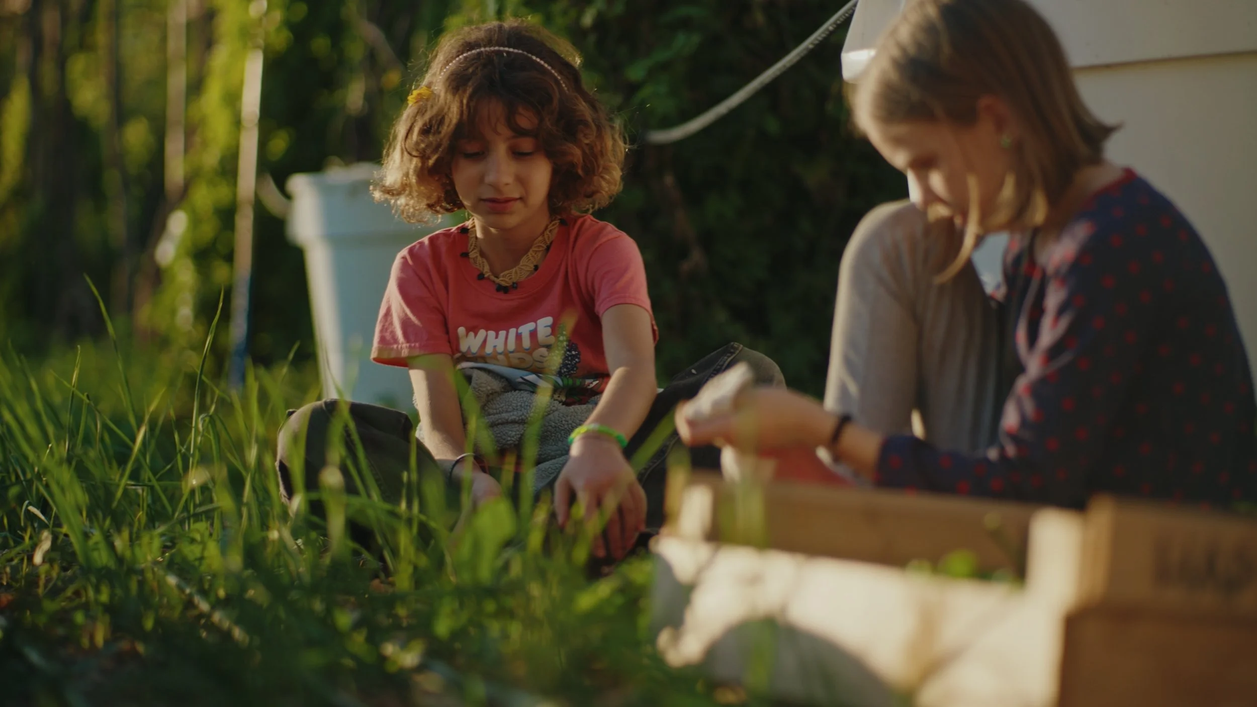 Still 2025-12-29 174556_1.523.1.jpg