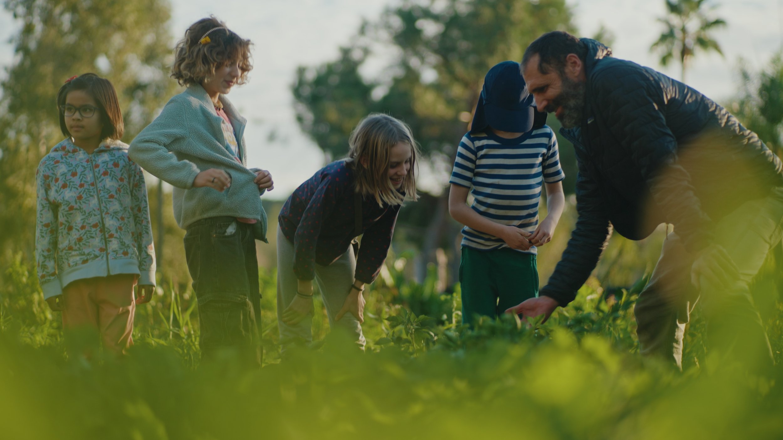 Still 2025-12-29 174556_1.528.3.jpg