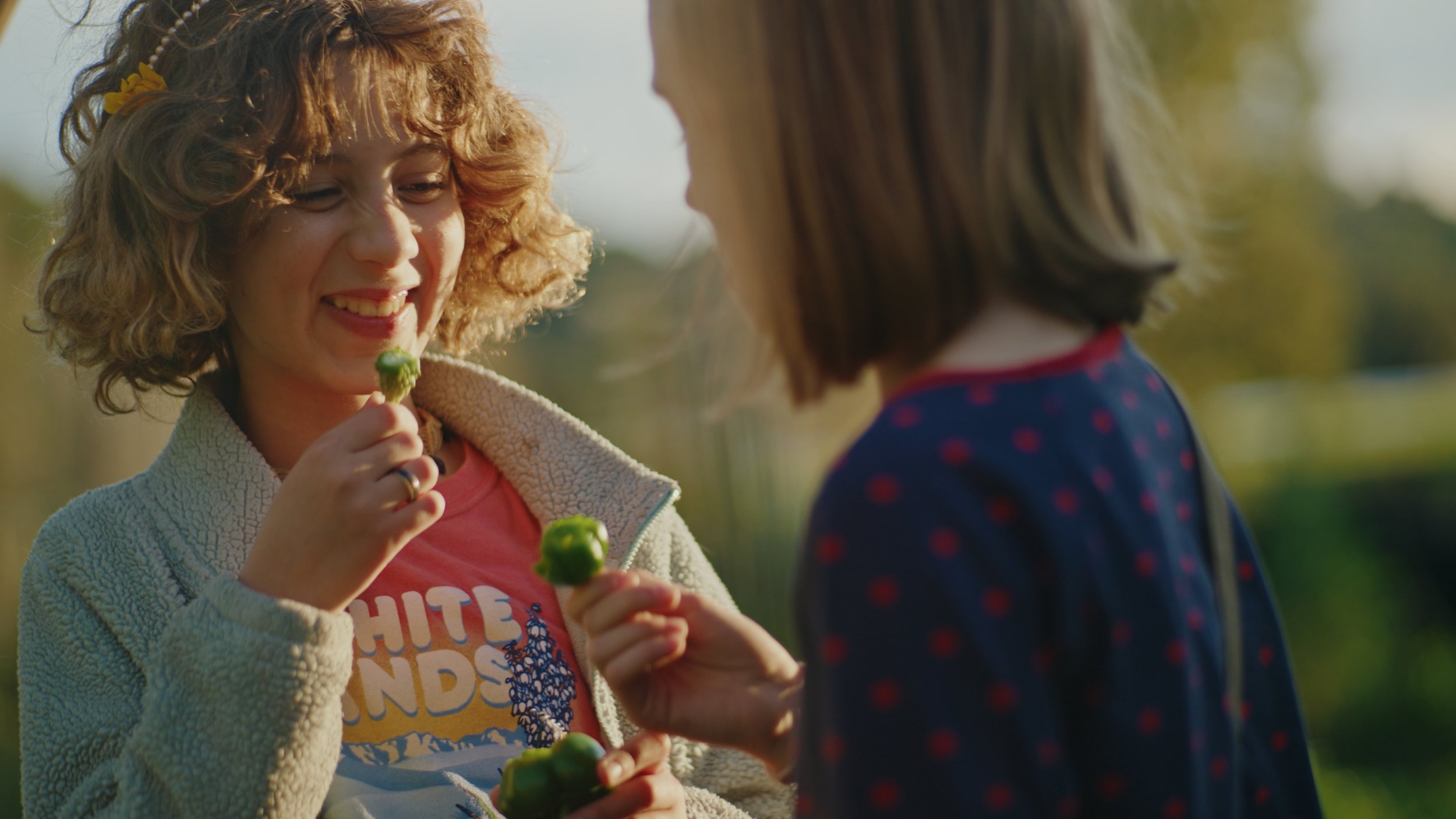 Still 2025-12-29 174556_1.533.1.jpg