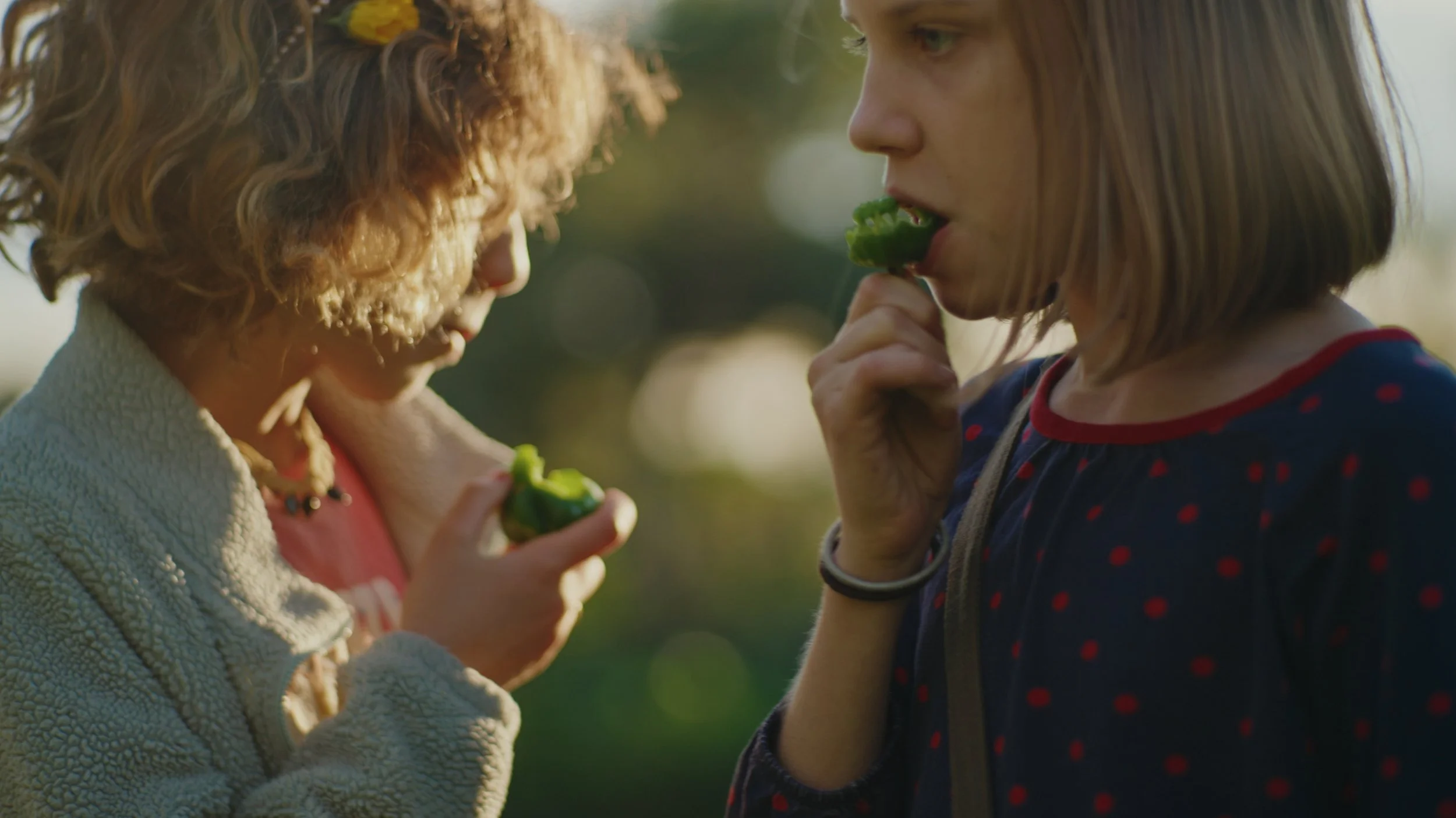 Still 2025-12-29 174556_1.533.2.jpg