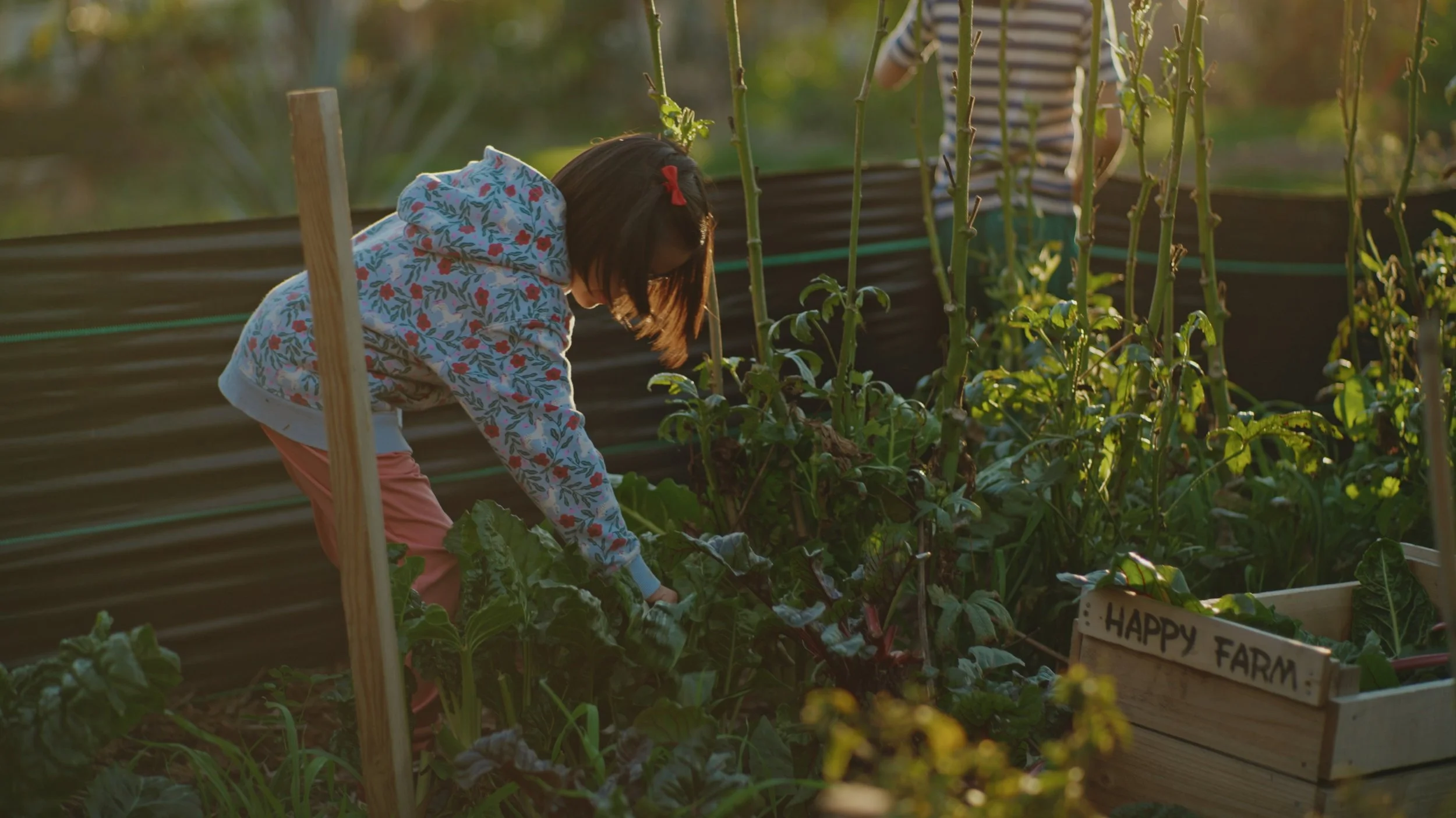 Still 2025-12-29 174556_1.535.1.jpg