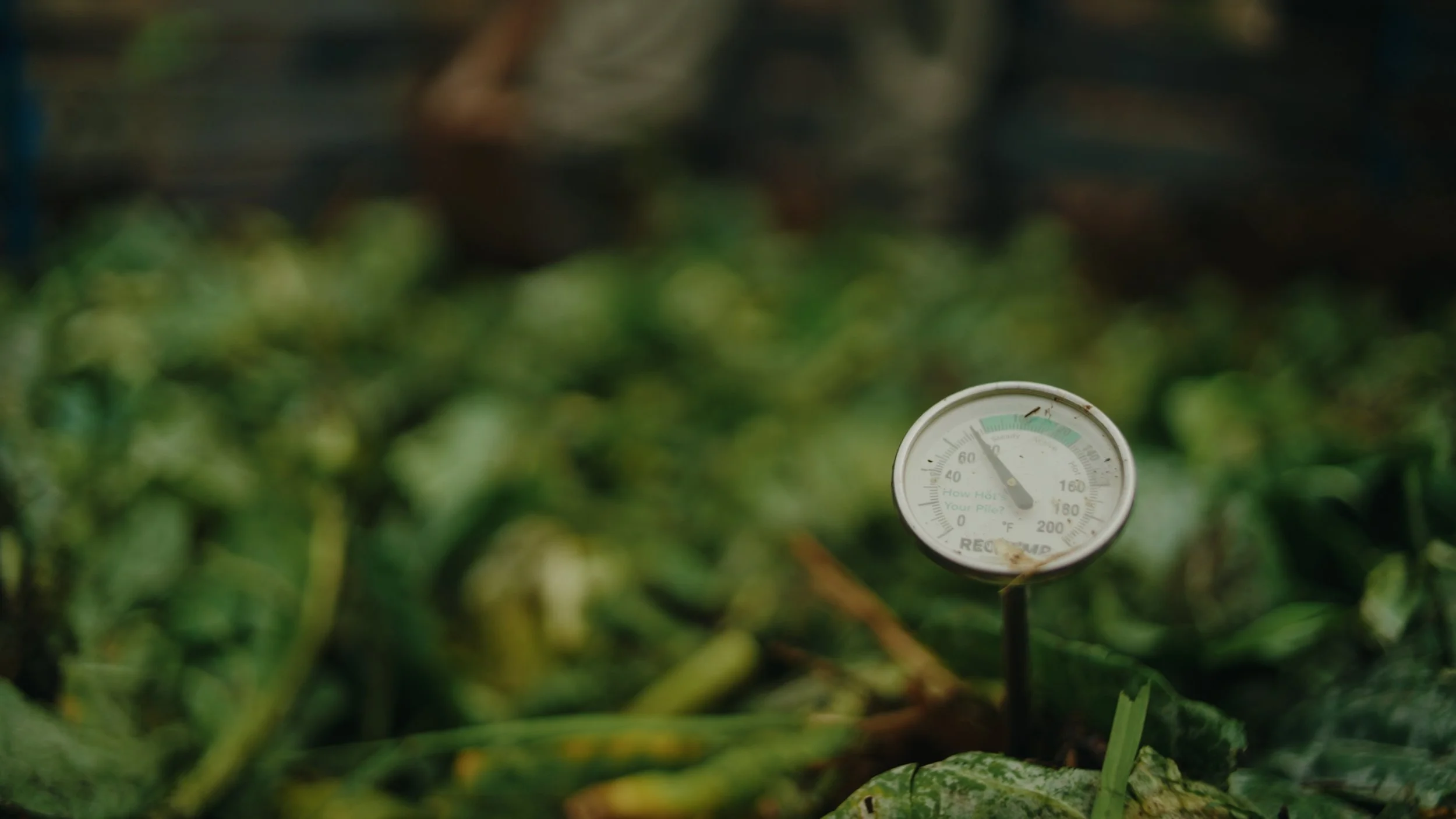 Still 2026-01-02 155735_1.553.1.jpg