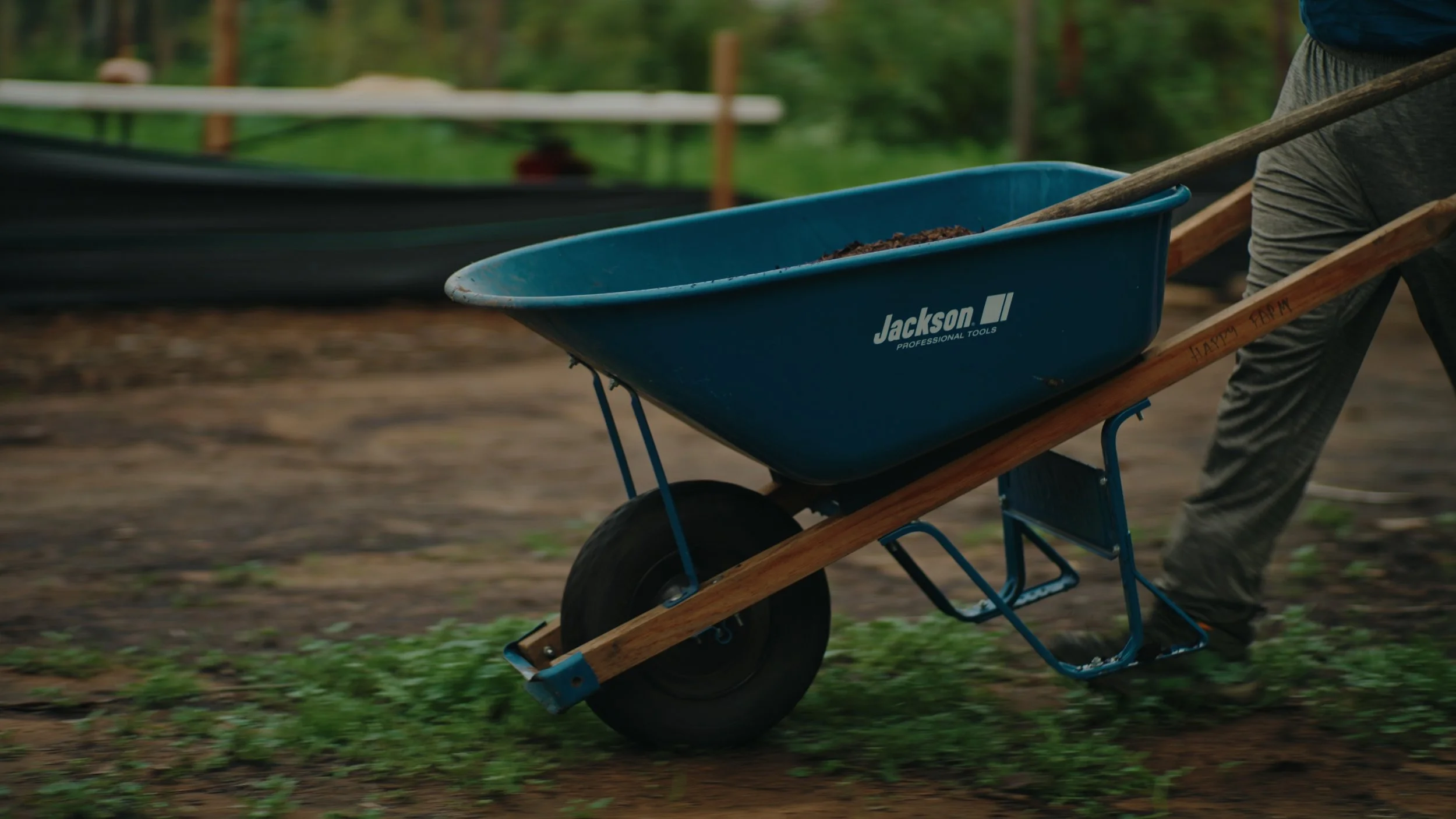 Still 2026-01-02 155735_1.584.1.jpg