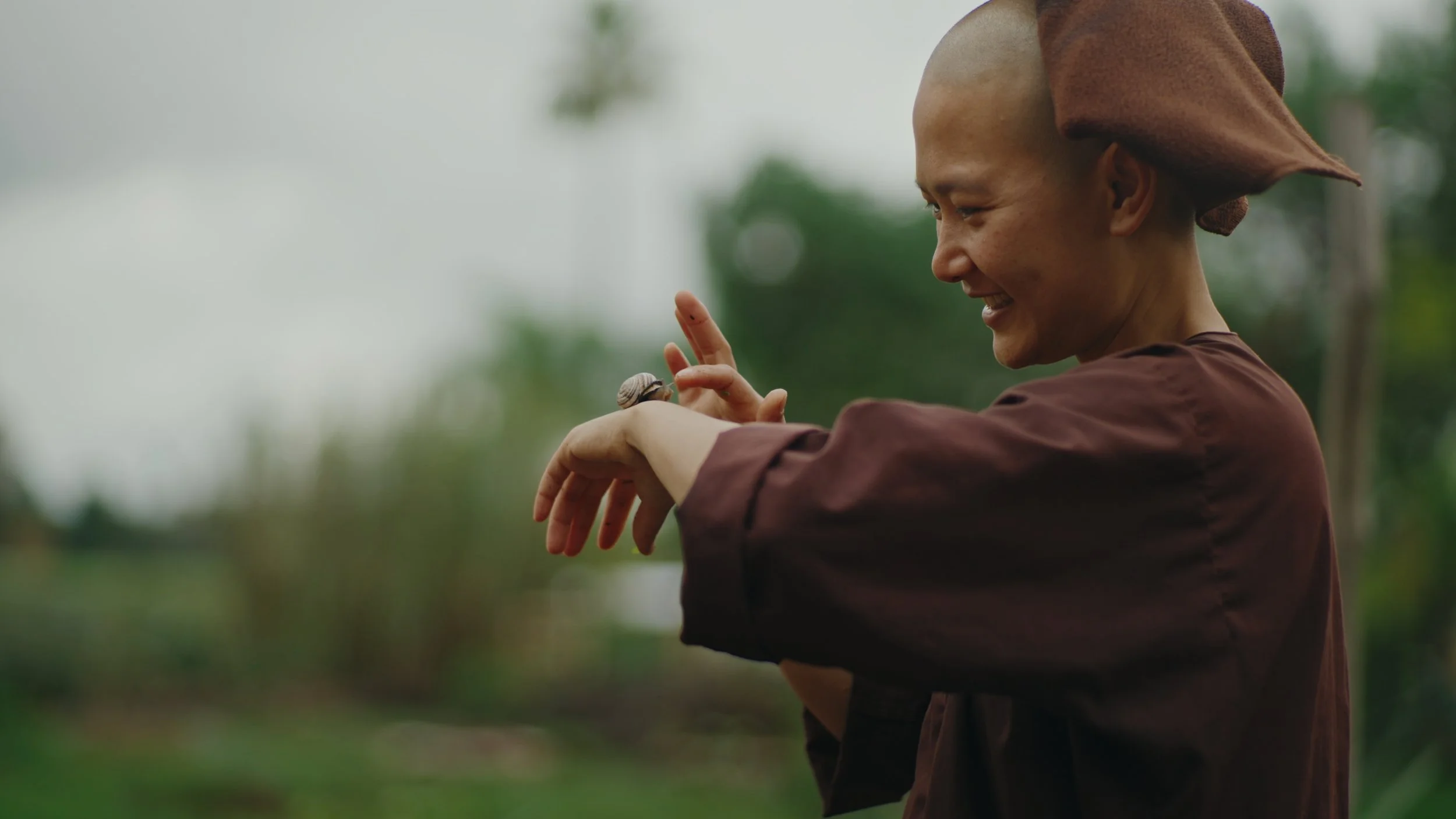 Still 2026-01-02 155735_1.586.1.jpg