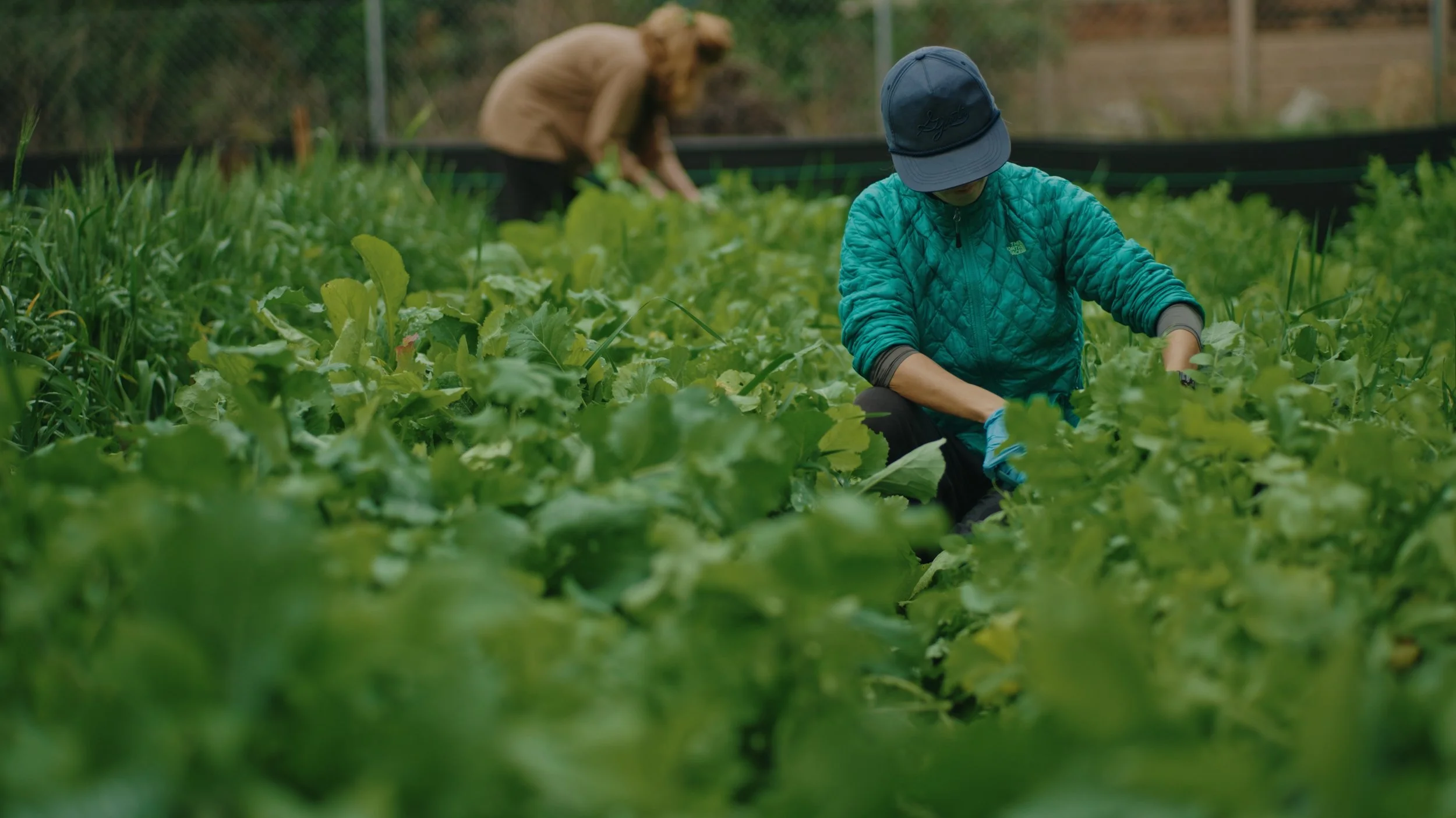 Still 2026-01-02 155735_1.590.1.jpg