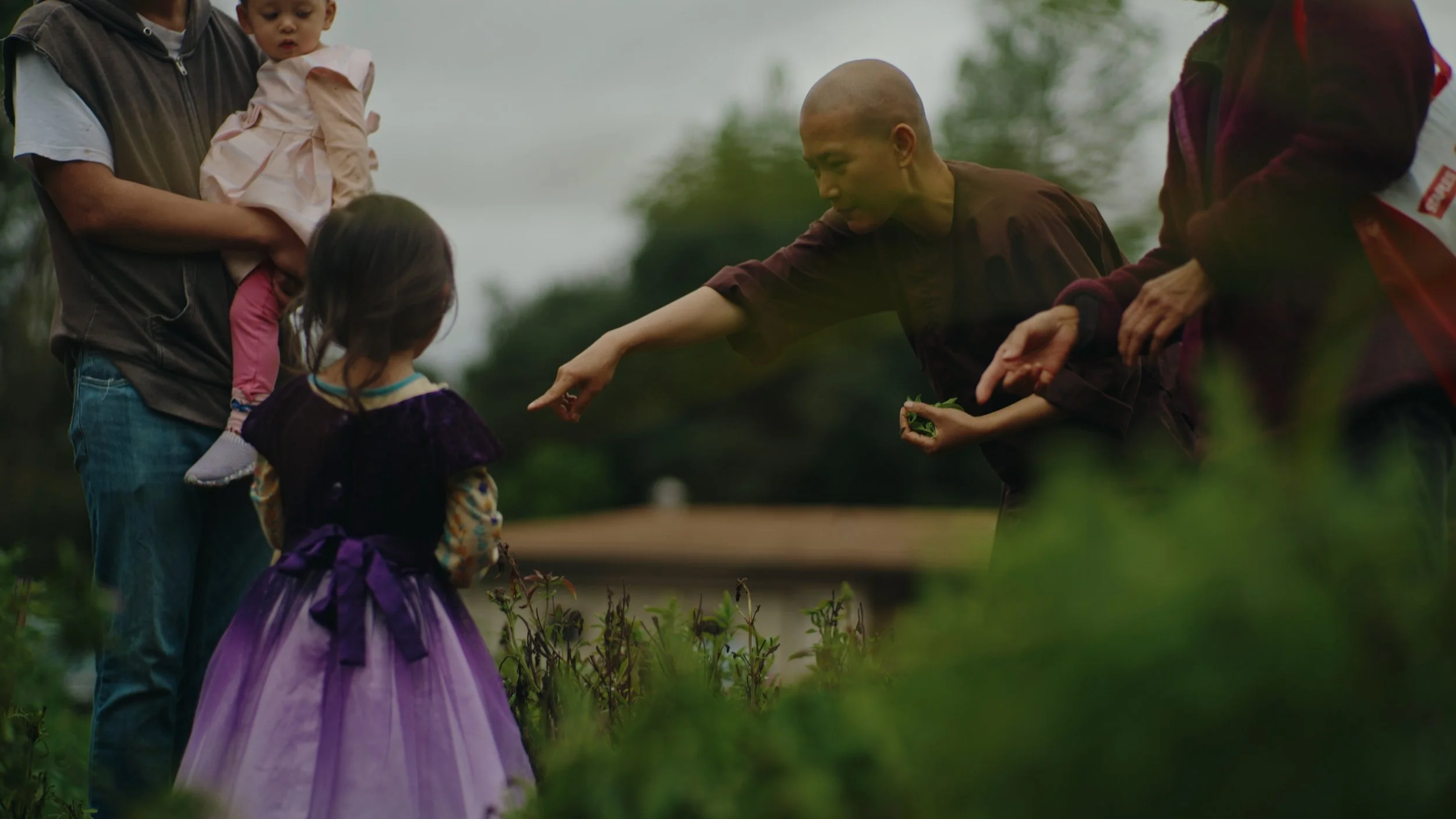 Still 2026-01-02 155735_1.594.1.jpg