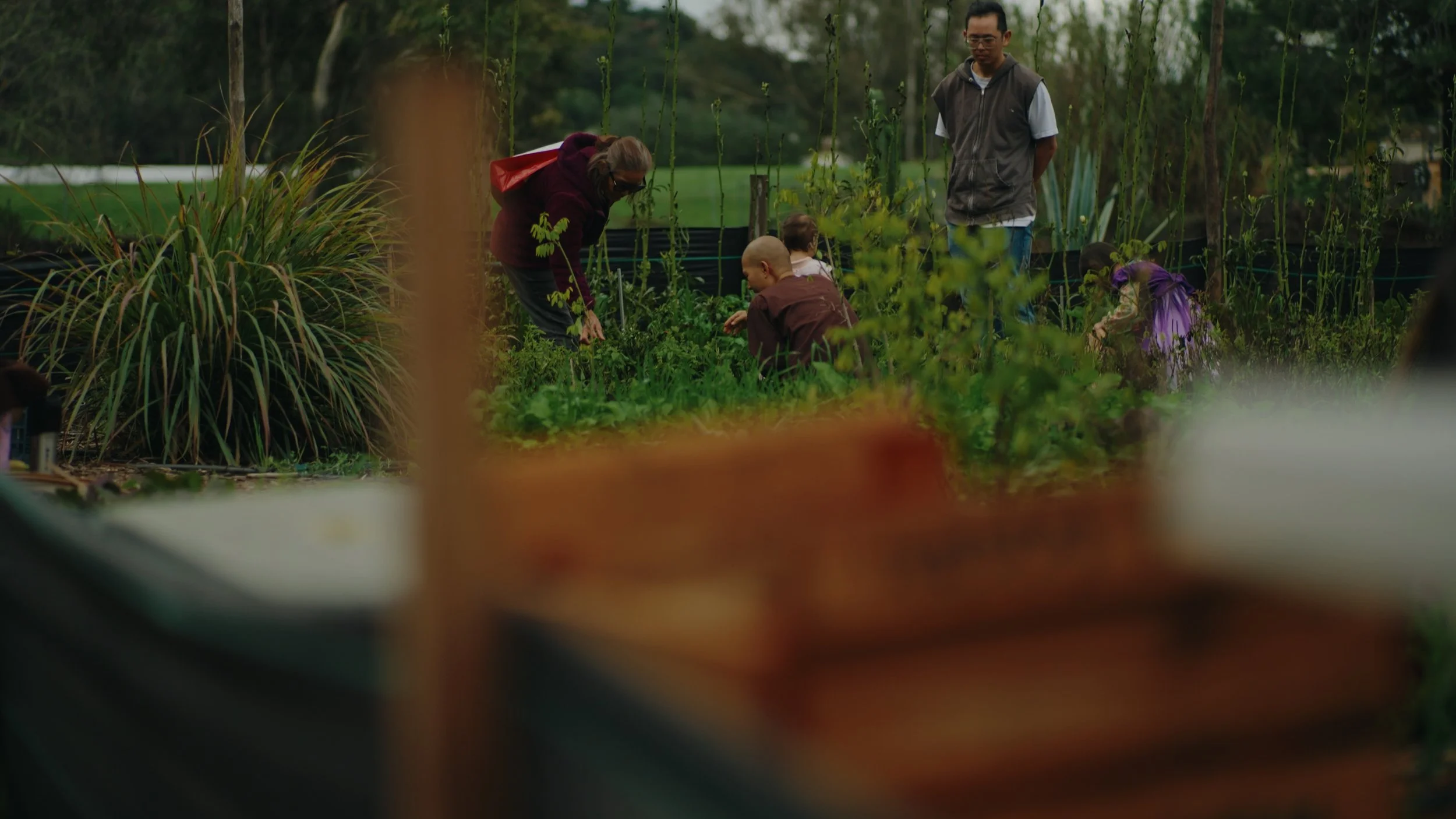 Still 2026-01-02 155735_1.595.1.jpg