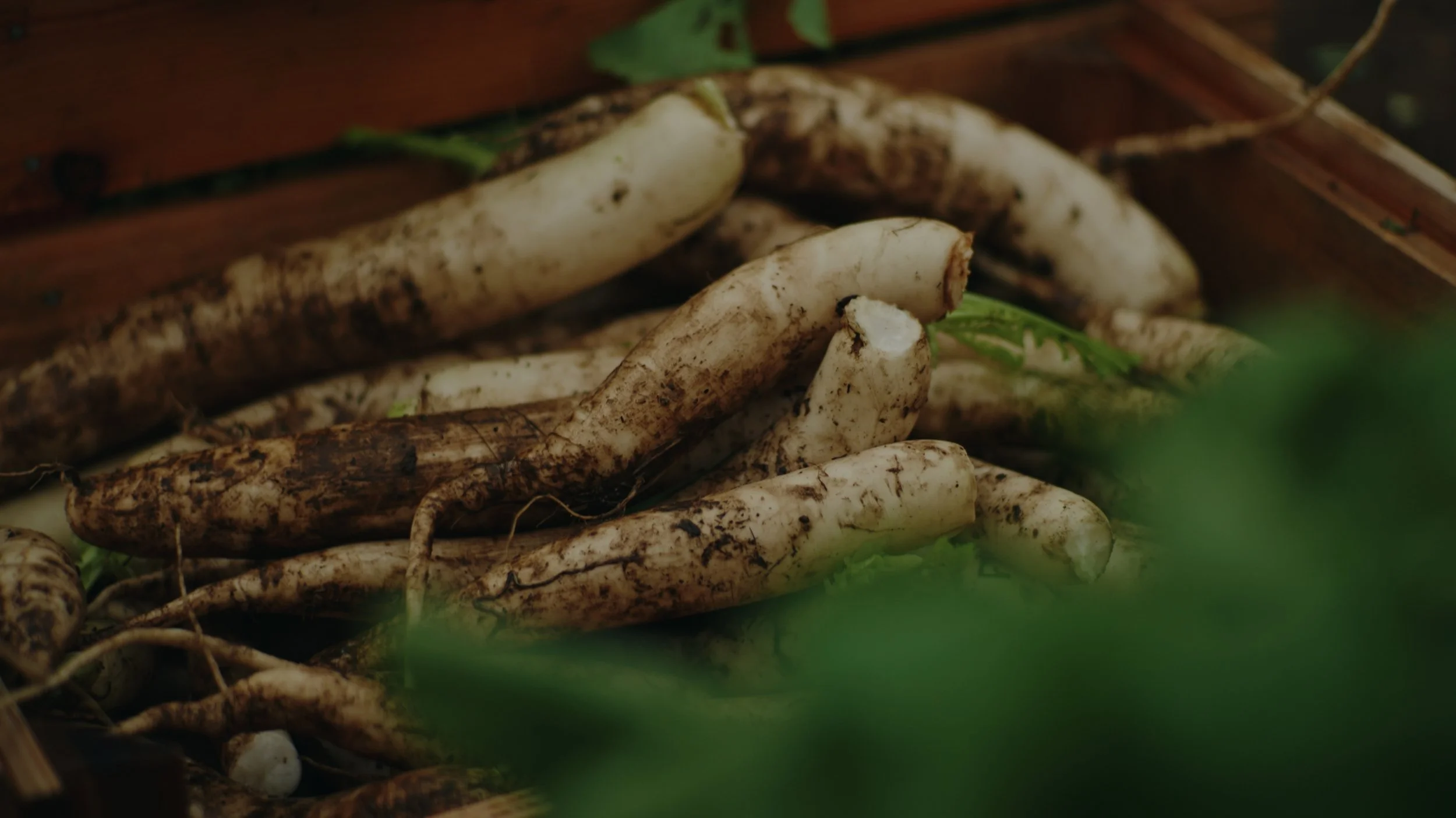 Still 2026-01-02 155735_1.597.1.jpg