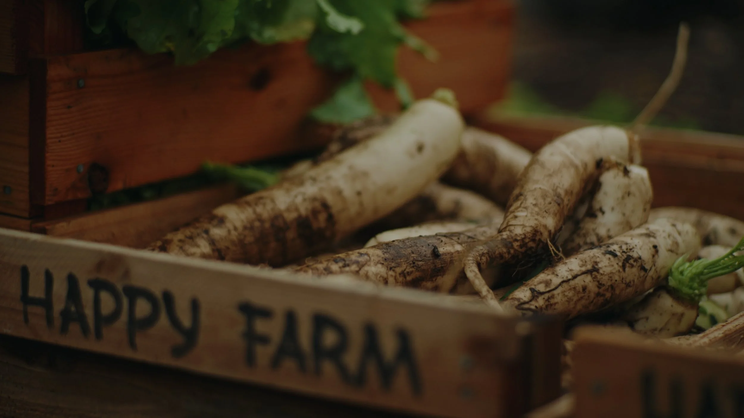 Still 2026-01-02 155735_1.598.1.jpg