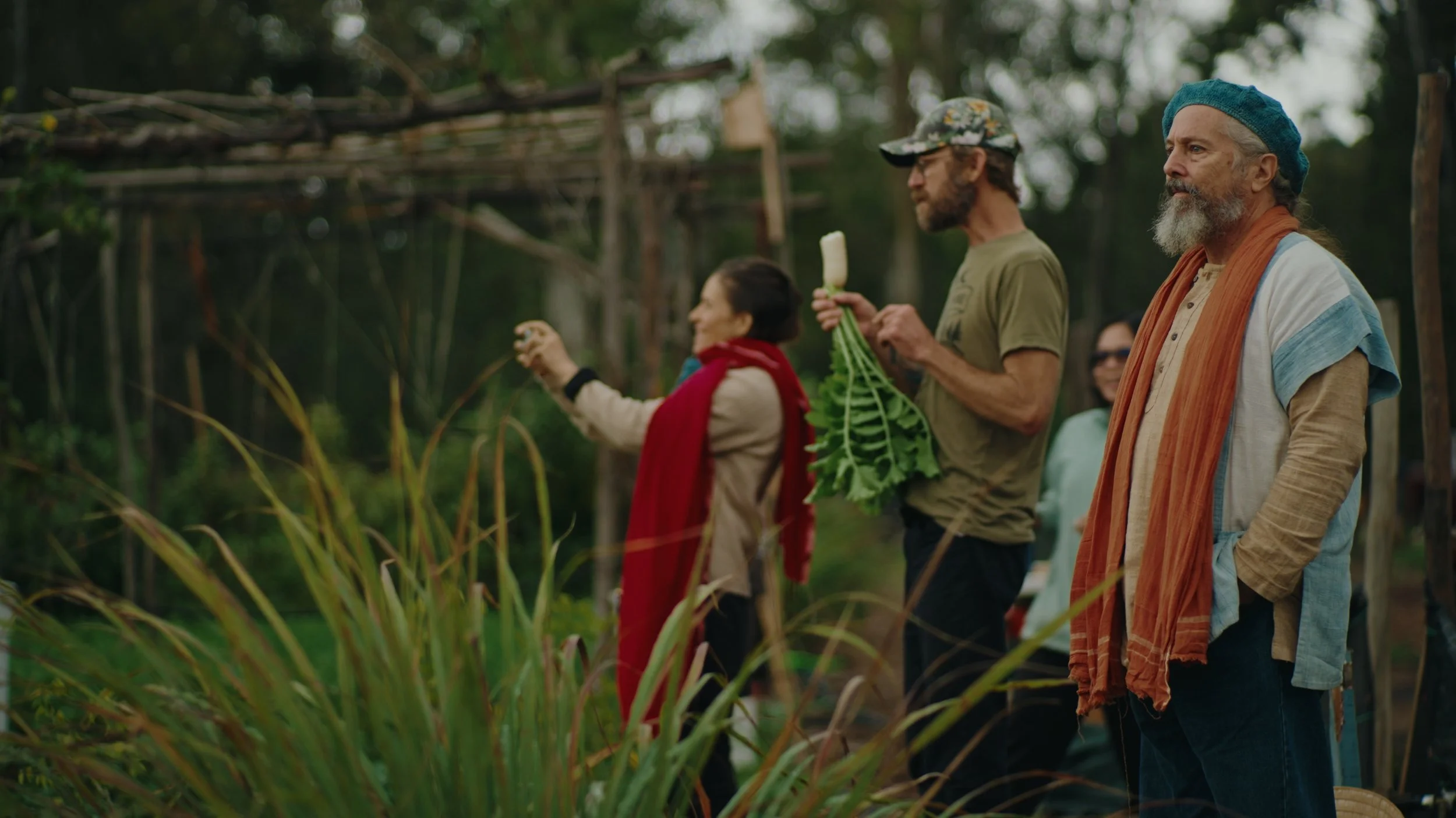 Still 2026-01-02 155735_1.606.1.jpg