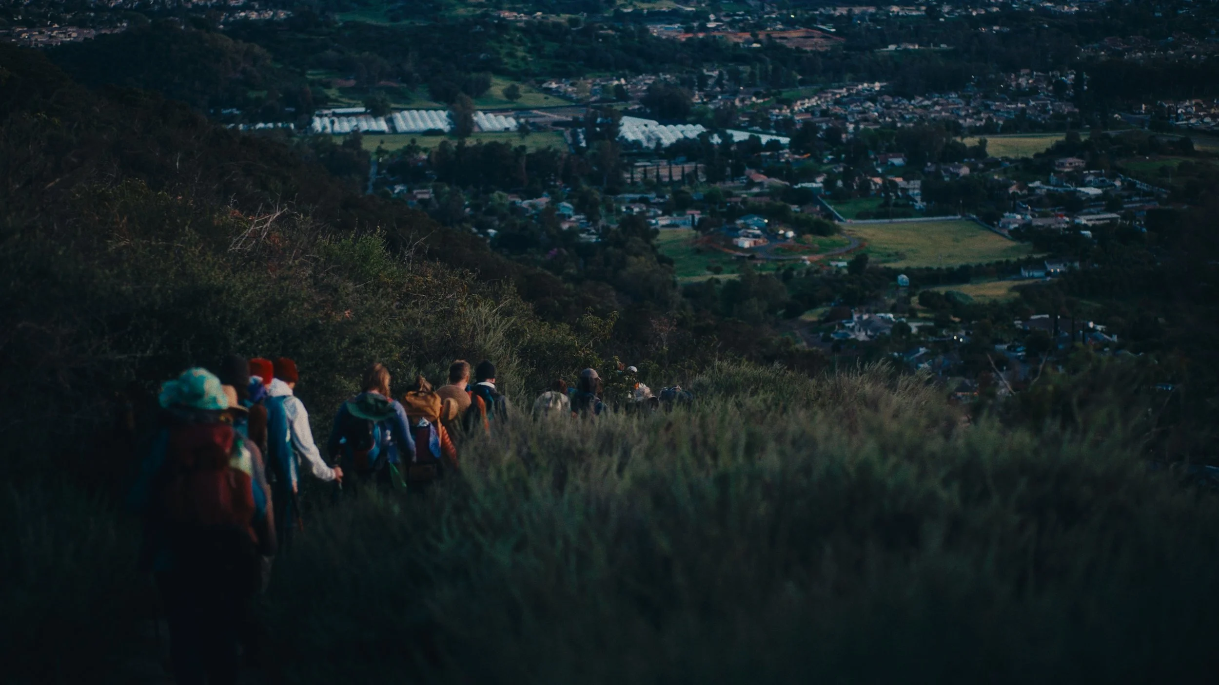 Still 2026-03-07 155944_1.249.1.jpg