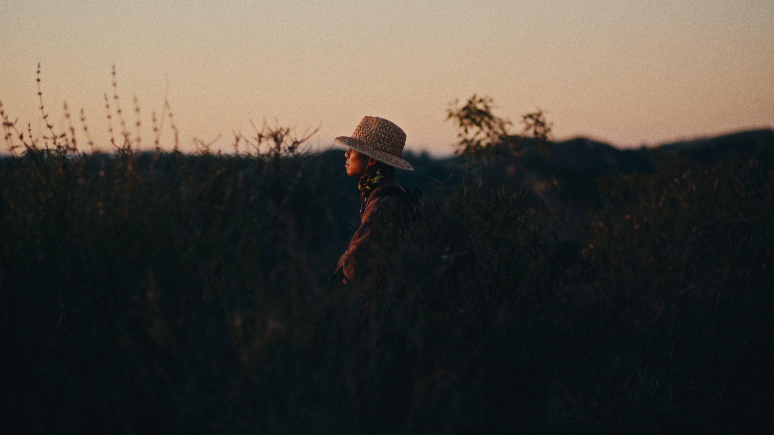 Still 2026-03-07 155944_1.243.1.jpg