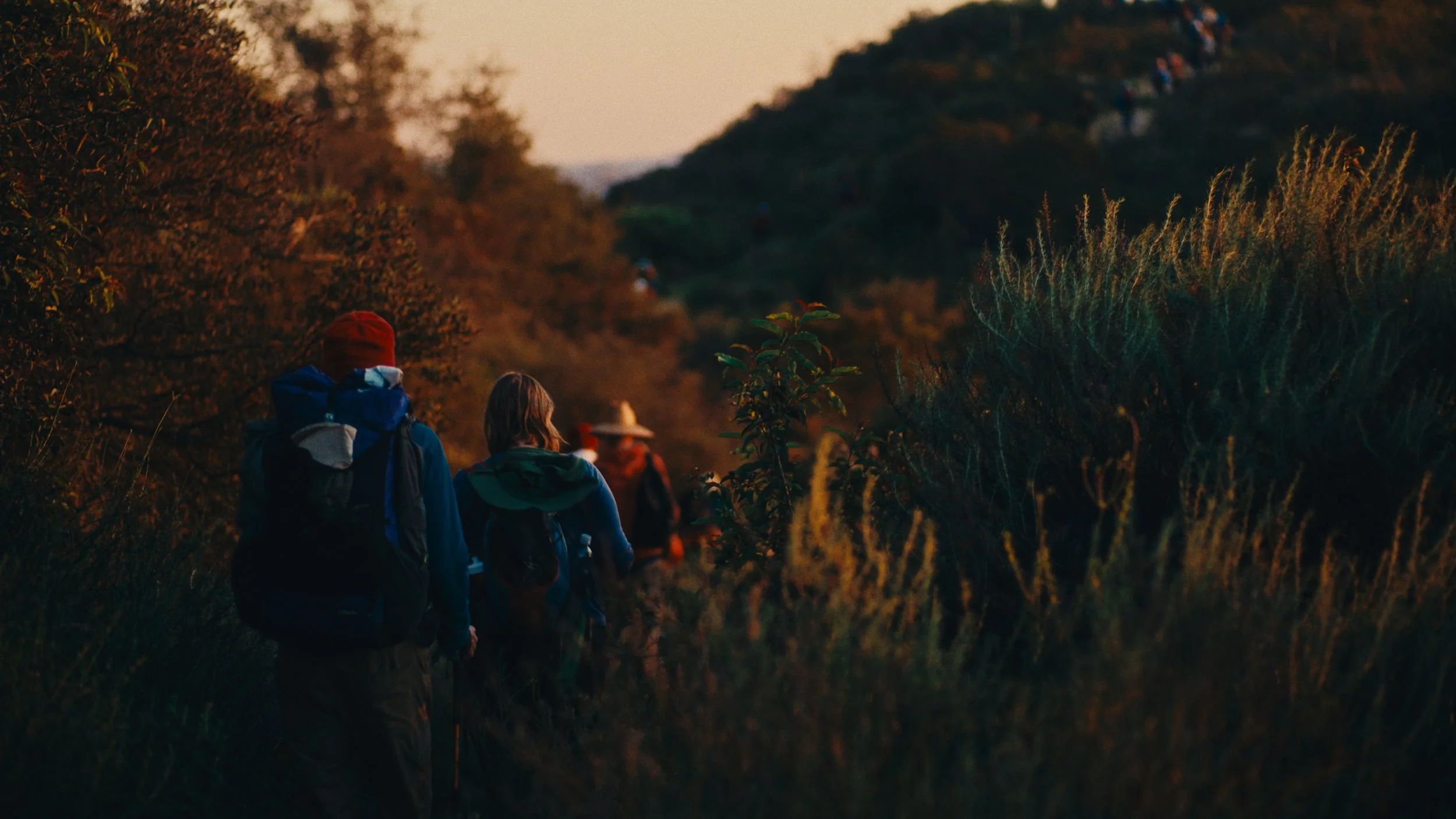 Still 2026-03-07 155944_1.240.2.jpg