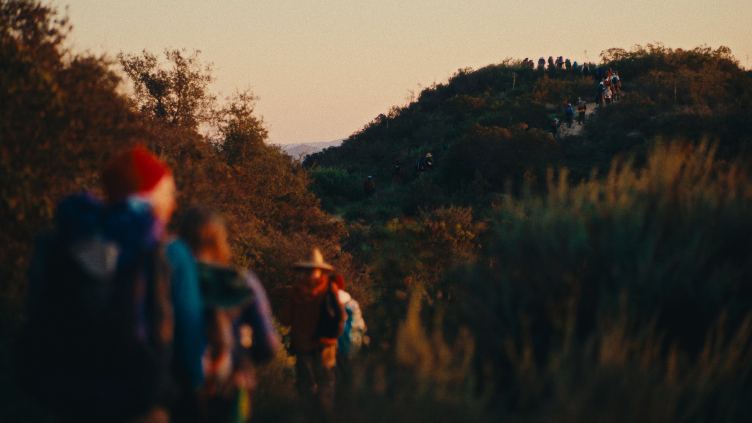 Still 2026-03-07 155944_1.240.1.jpg