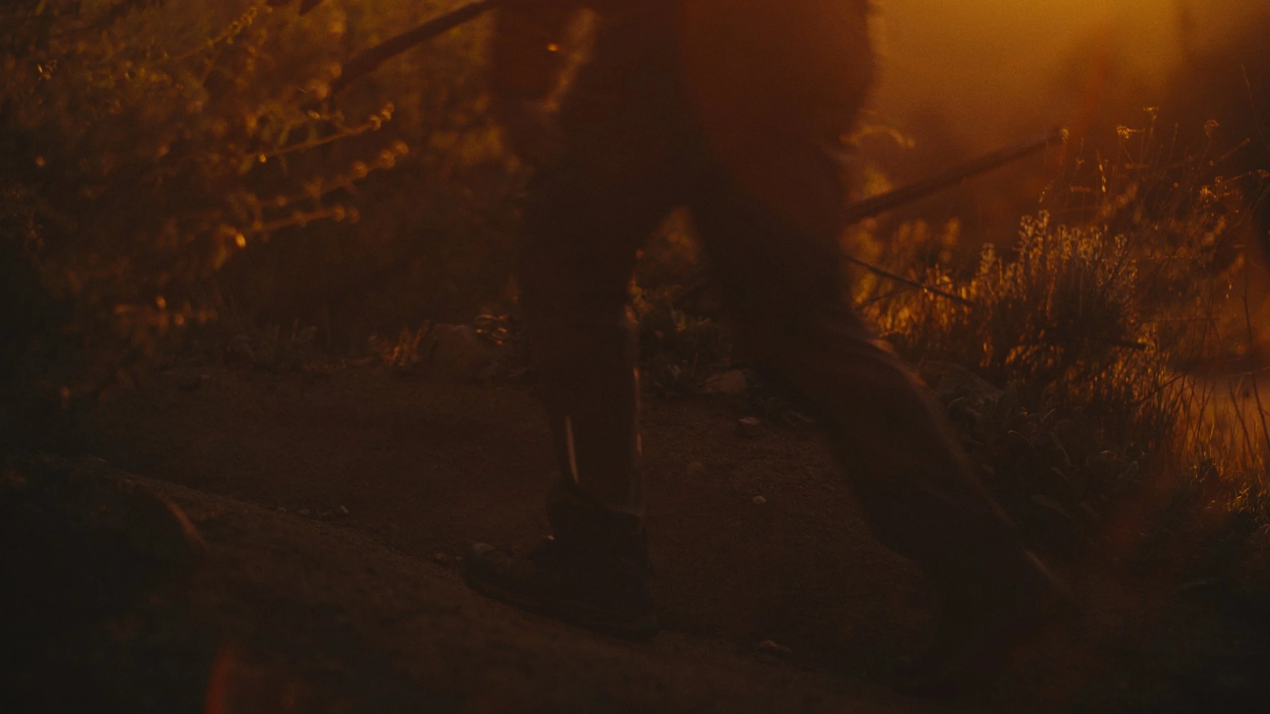 Still 2026-03-07 155944_1.236.1.jpg