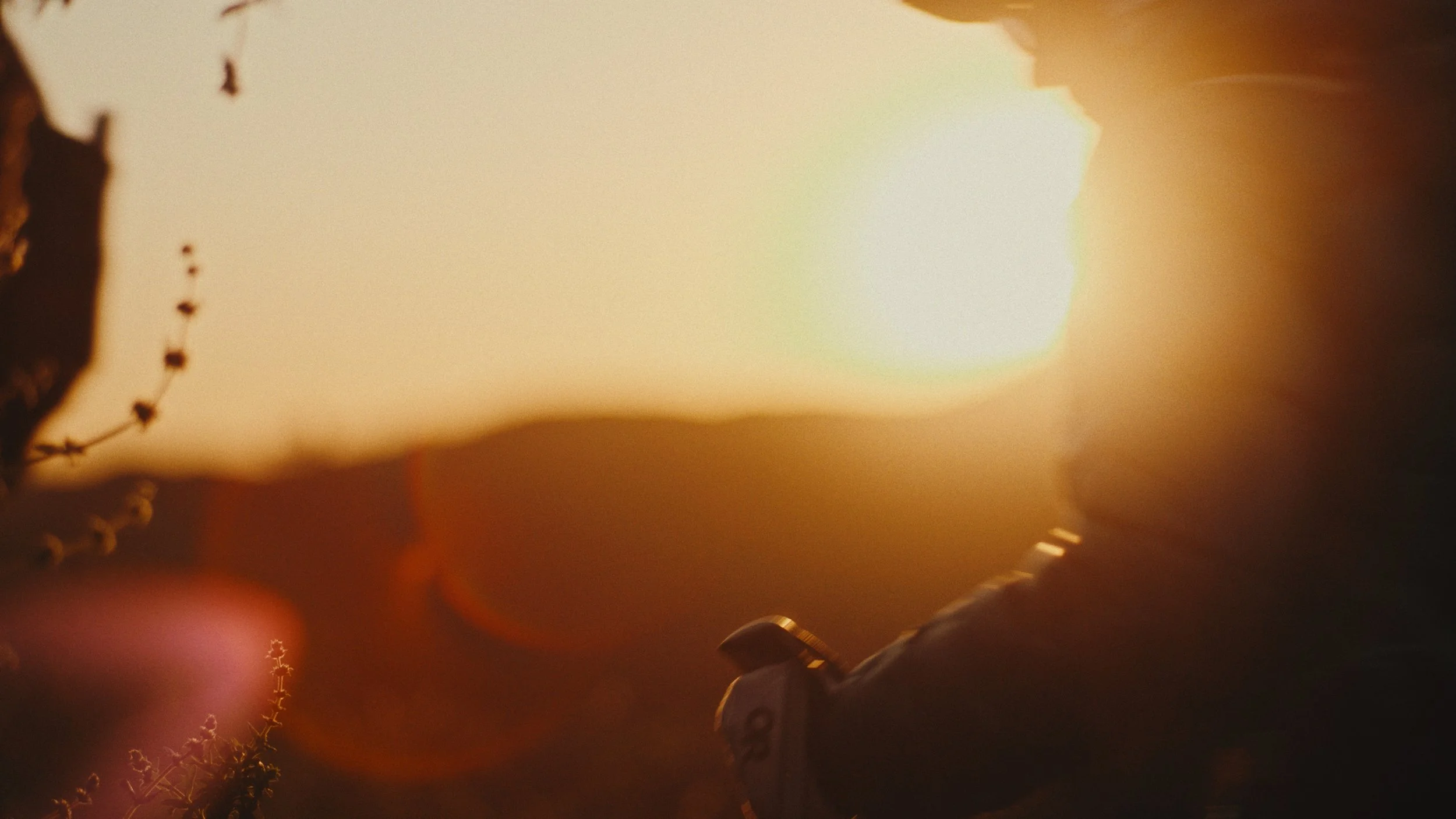 Still 2026-03-07 155944_1.234.1.jpg