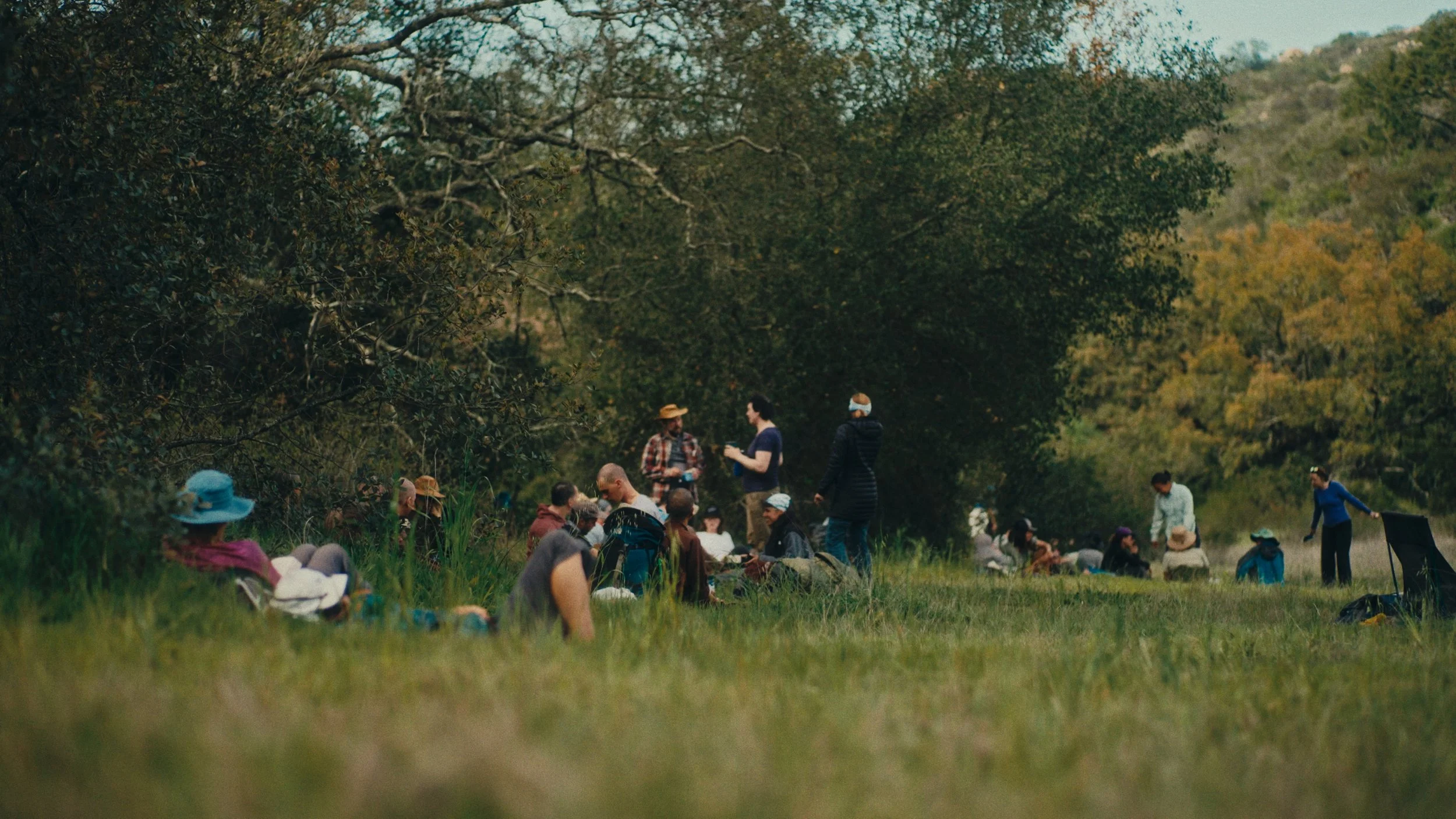 Still 2026-03-07 155944_1.231.1.jpg