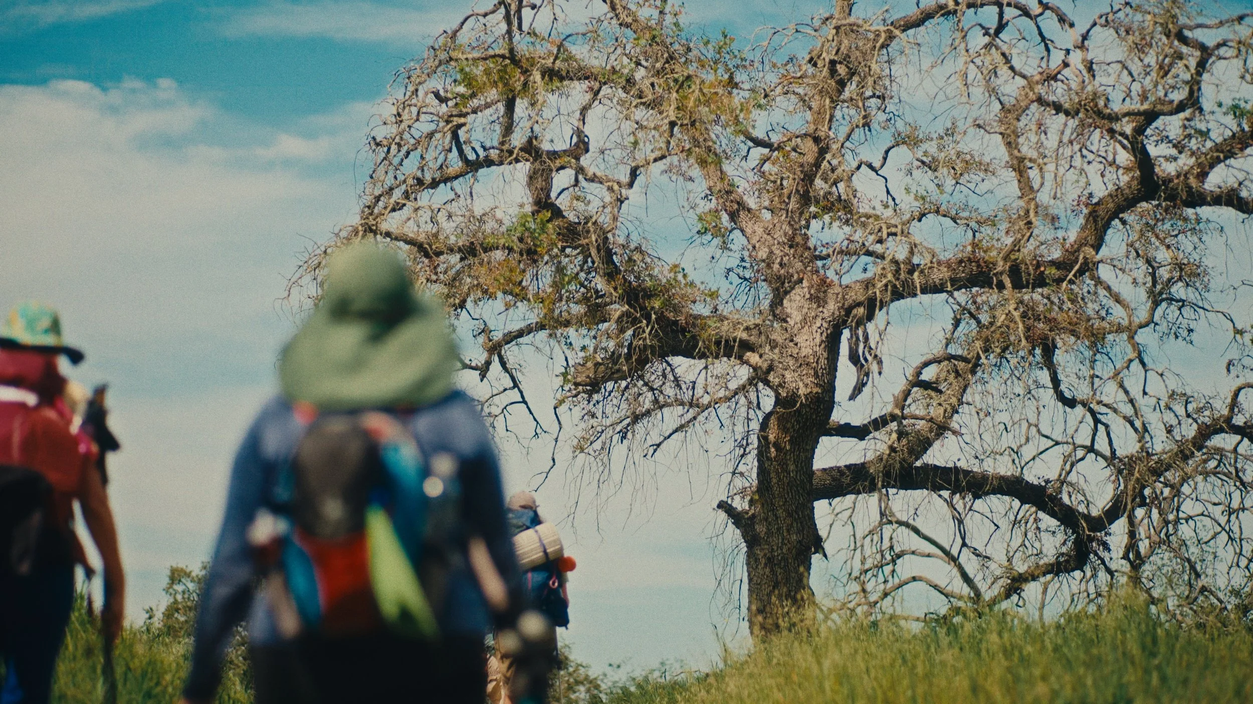 Still 2026-03-07 155944_1.227.1.jpg