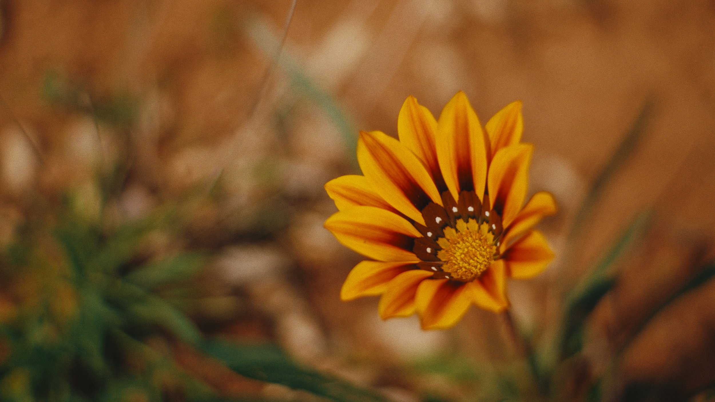 Still 2026-03-07 155944_1.226.1.jpg