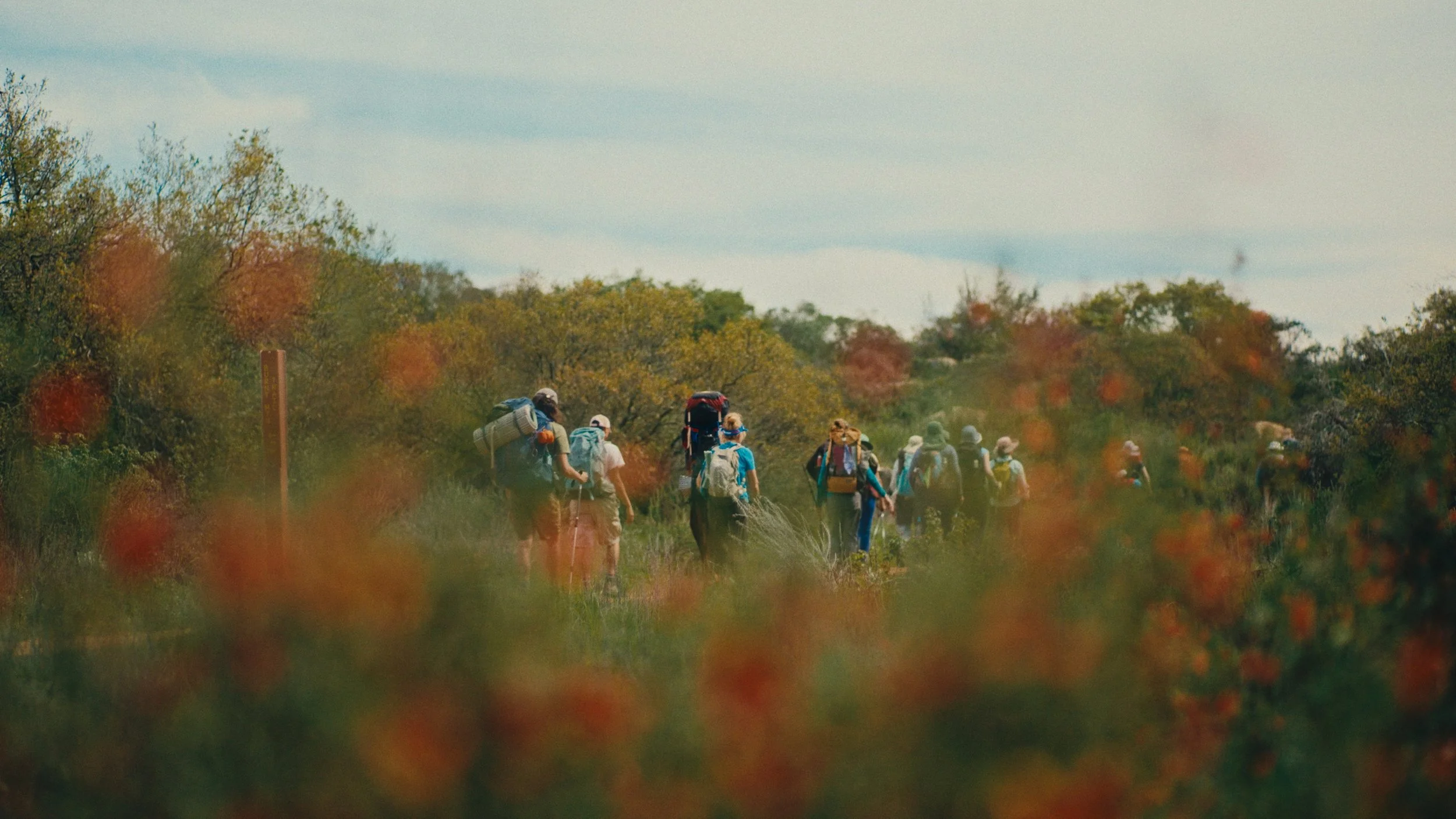 Still 2026-03-07 155944_1.223.1.jpg